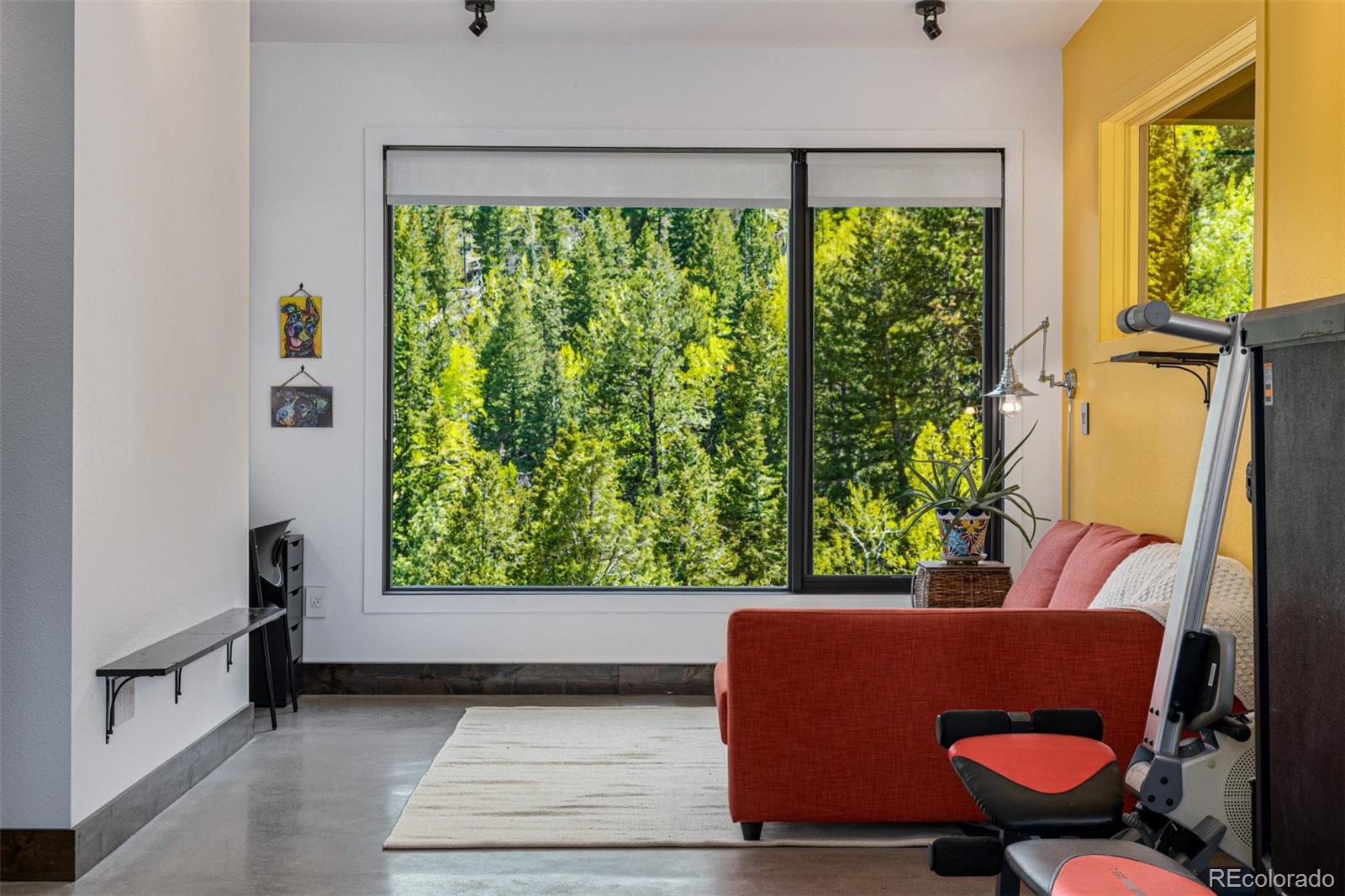 MLS Image #16 for 5896  peregrine trail,golden, Colorado