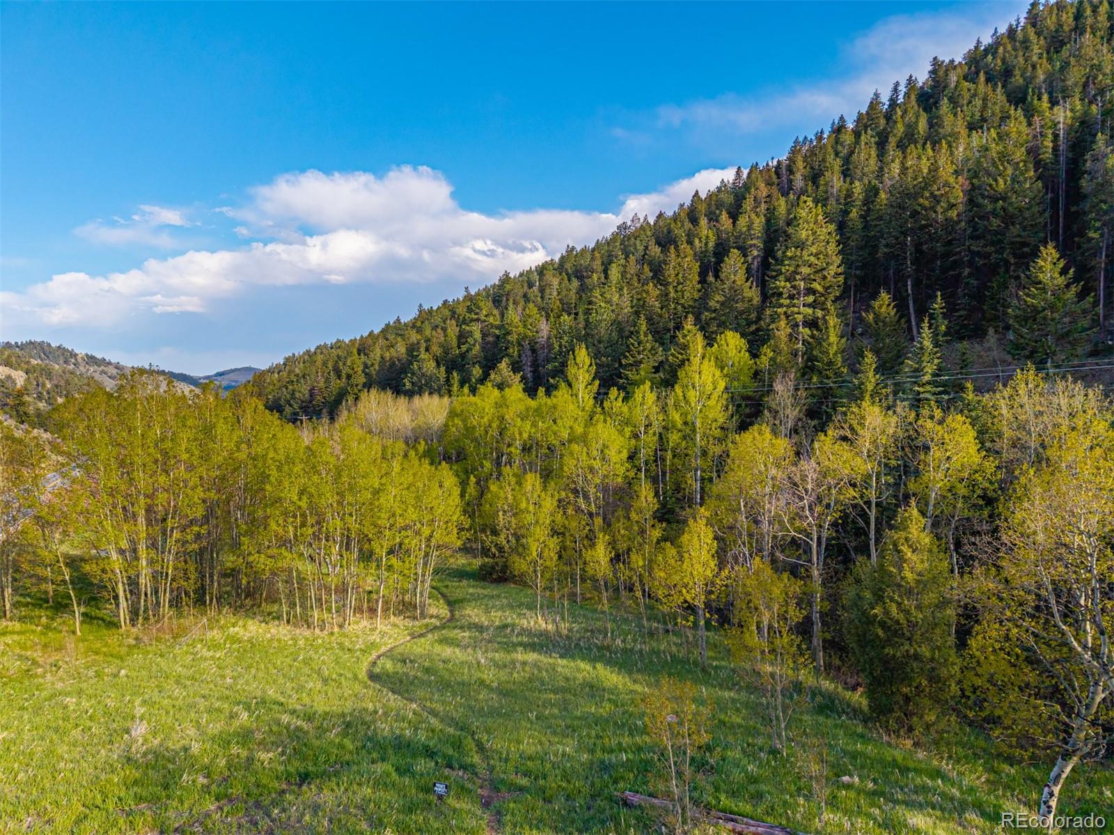 MLS Image #26 for 5896  peregrine trail,golden, Colorado