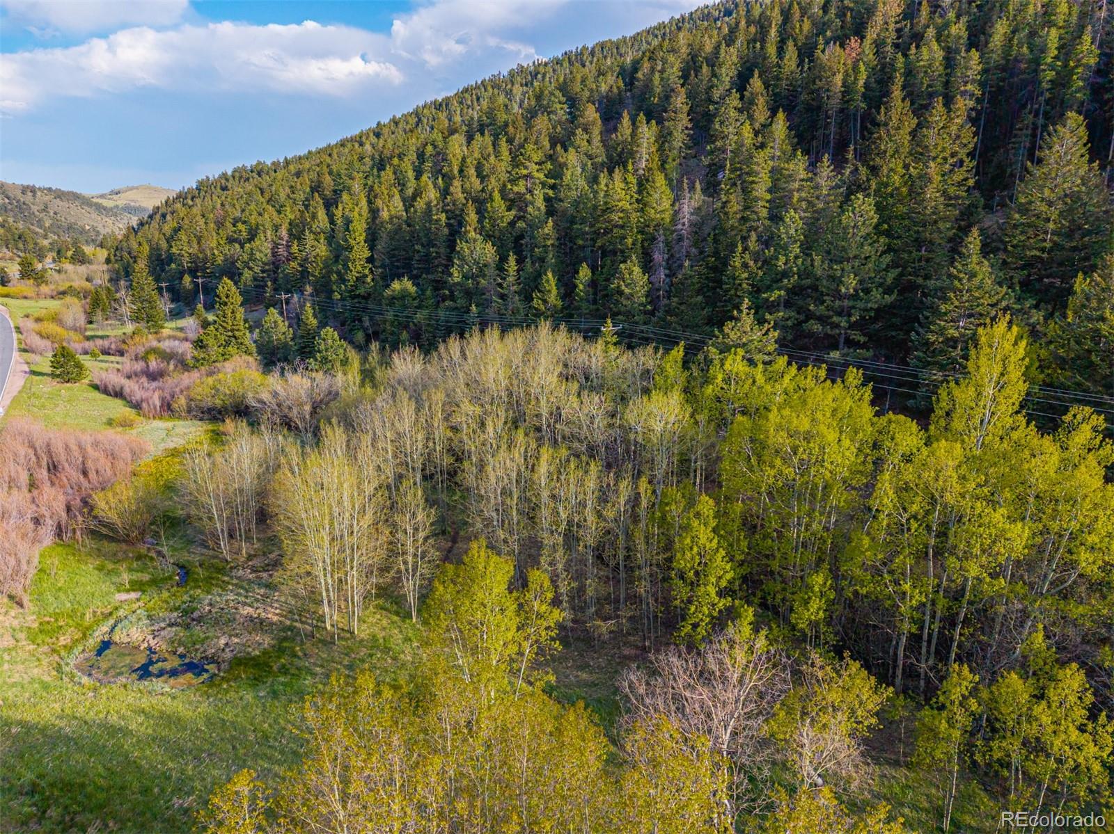 MLS Image #27 for 5896  peregrine trail,golden, Colorado