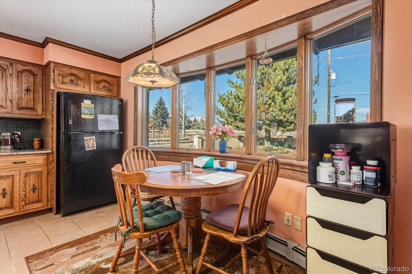 MLS Image #20 for 546  ouray avenue,salida, Colorado