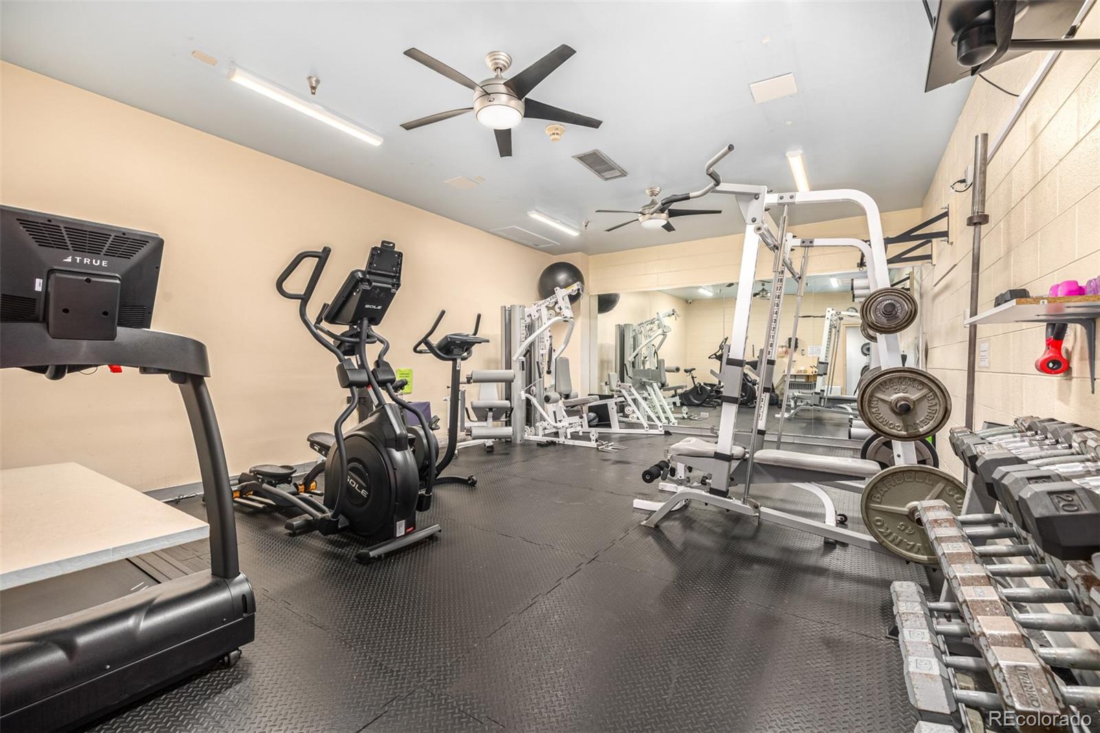 MLS Image #26 for 555 e 10th avenue 10,denver, Colorado