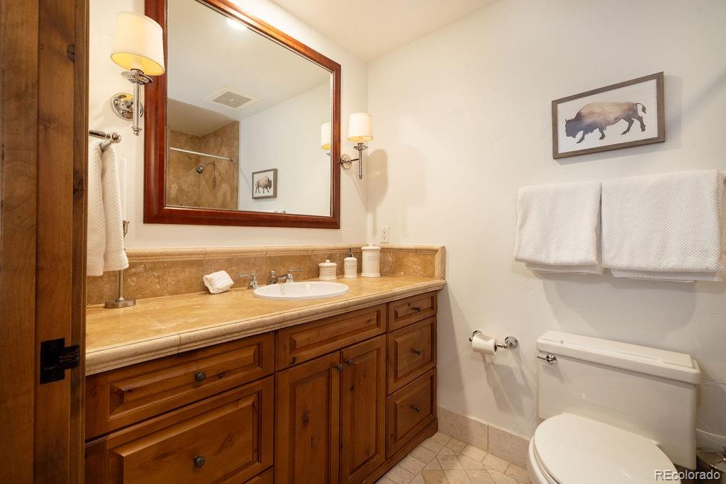 MLS Image #13 for 675  lionshead place,vail, Colorado