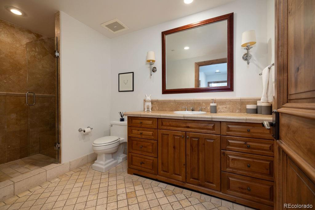 MLS Image #15 for 675  lionshead place,vail, Colorado