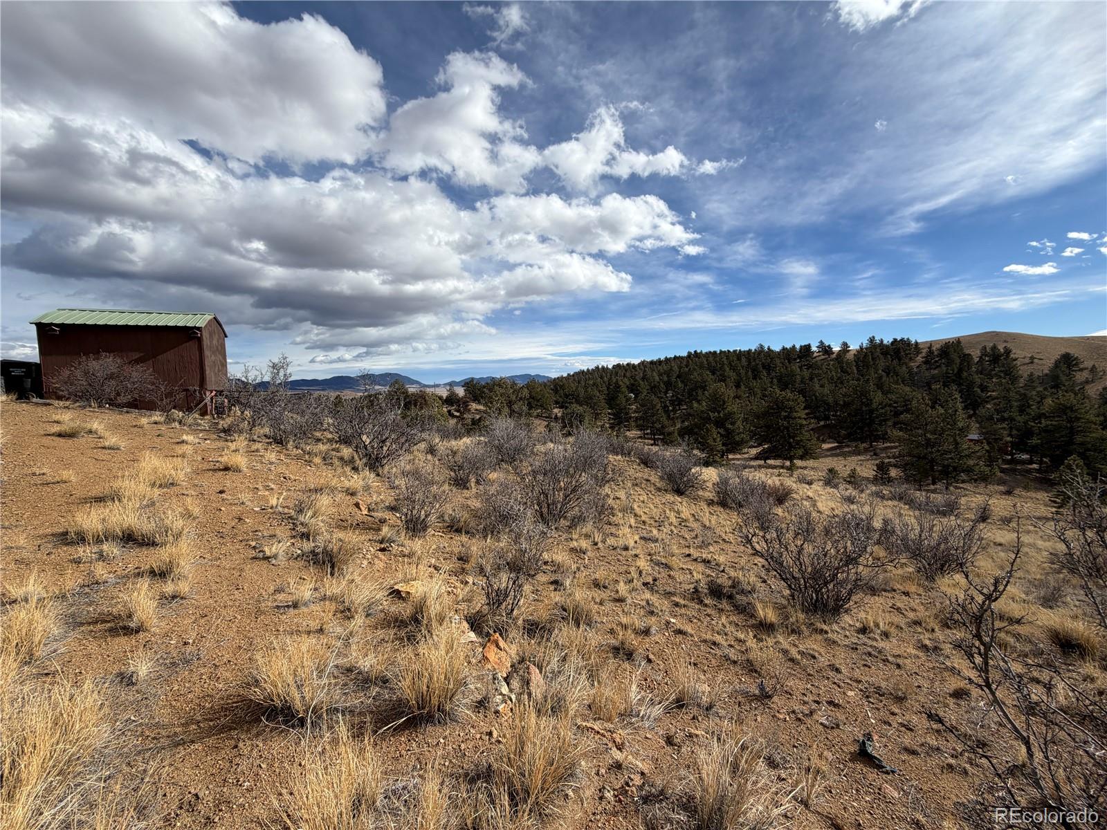 MLS Image #17 for 587  willow street,hartsel, Colorado