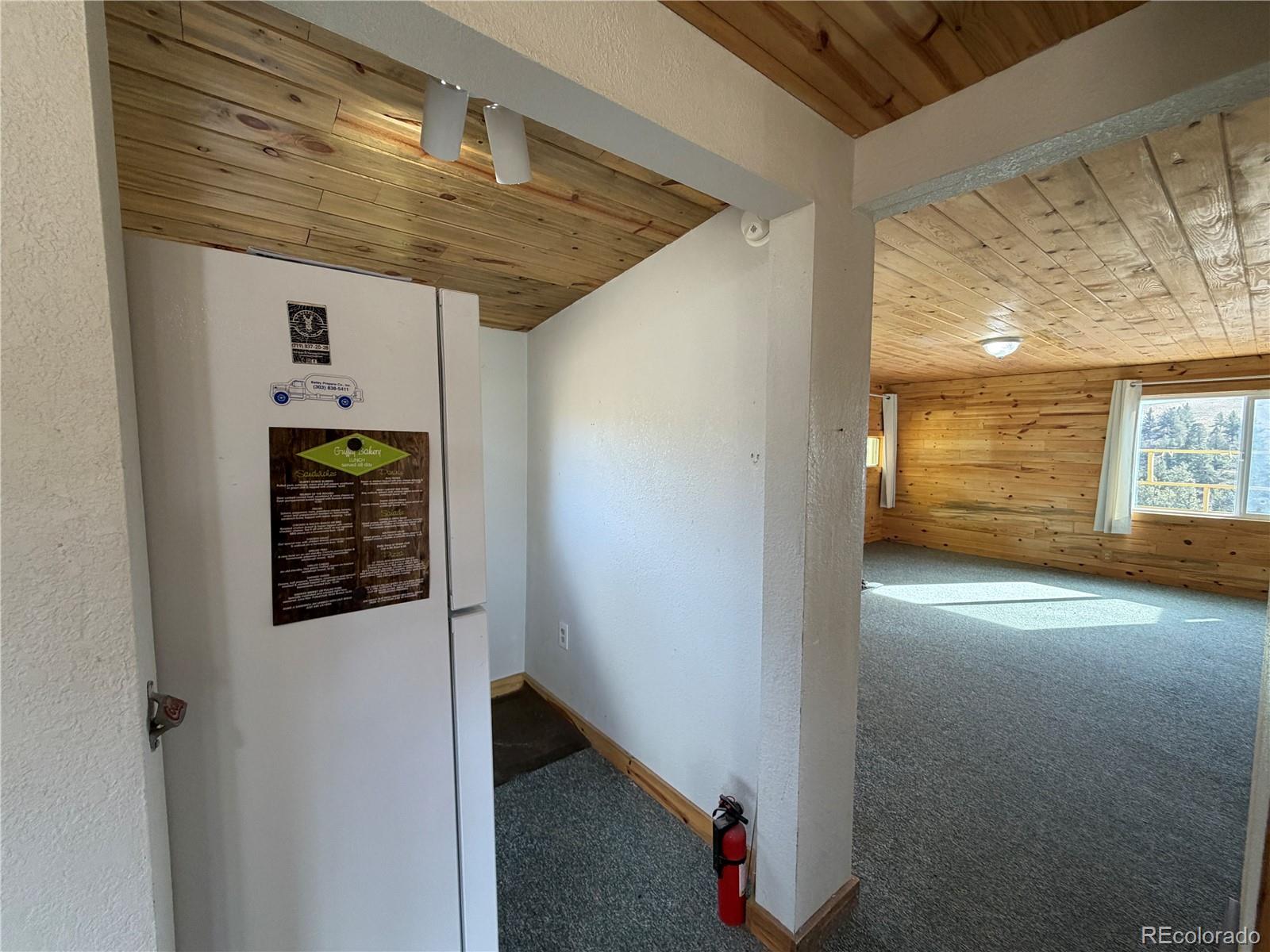 MLS Image #25 for 587  willow street,hartsel, Colorado