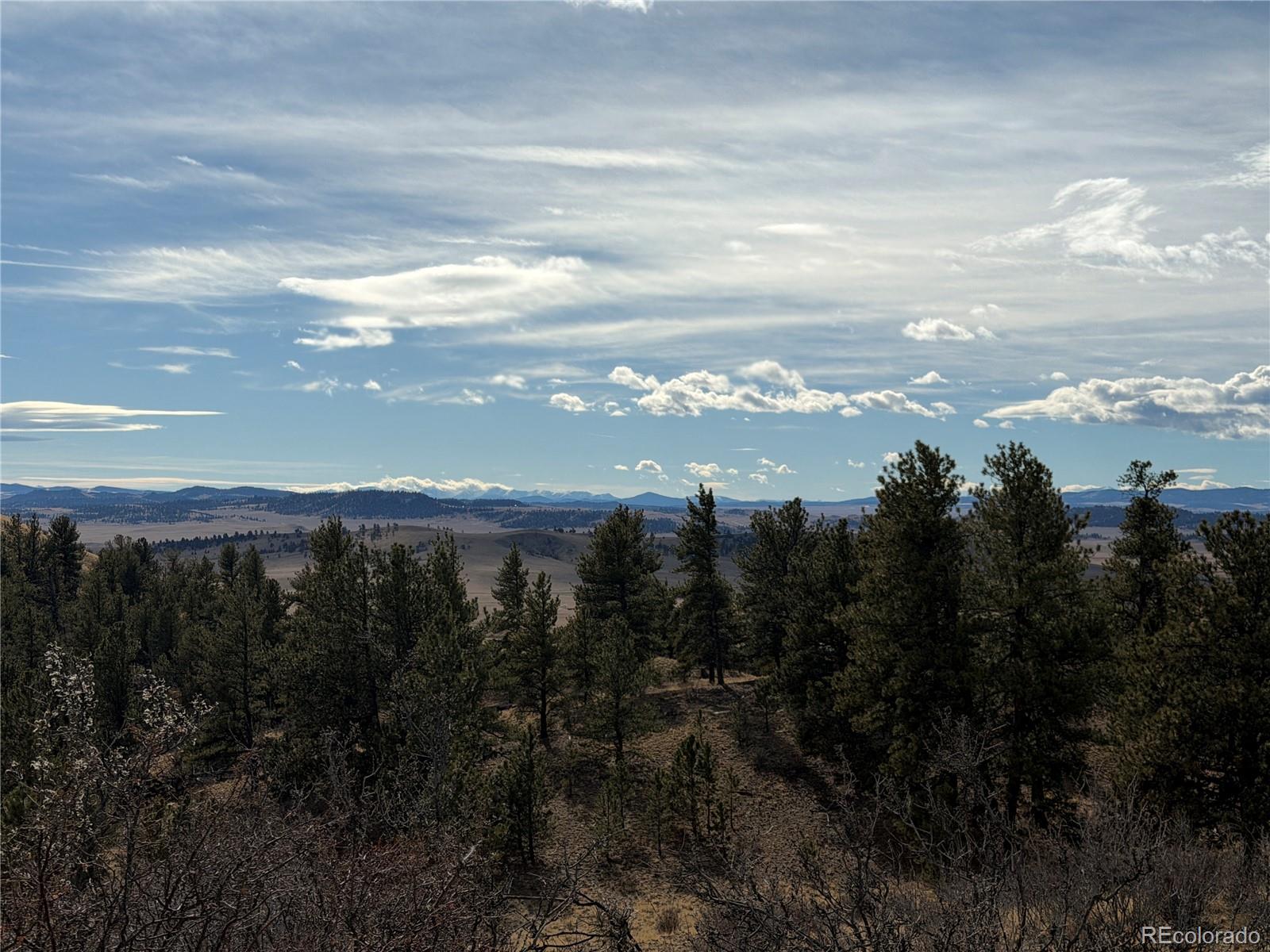 MLS Image #7 for 587  willow street,hartsel, Colorado