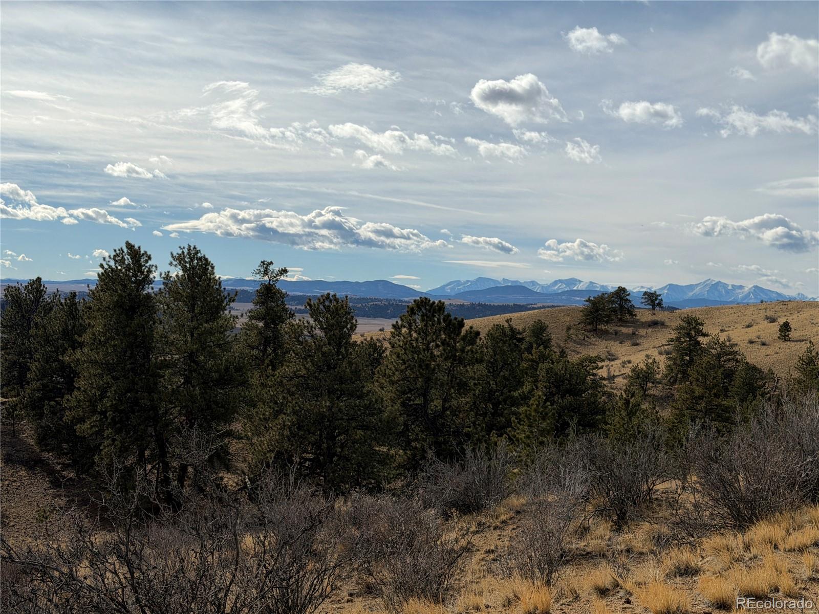 MLS Image #8 for 587  willow street,hartsel, Colorado