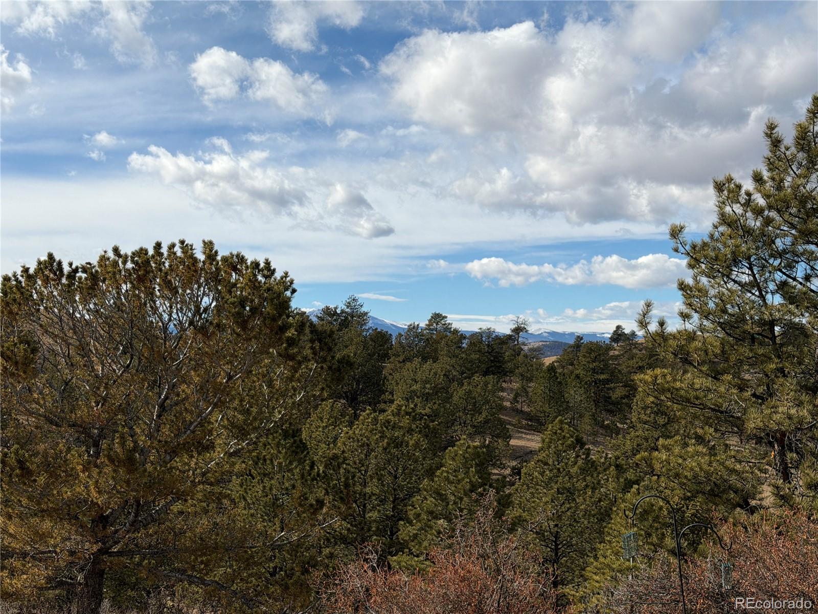 MLS Image #9 for 587  willow street,hartsel, Colorado