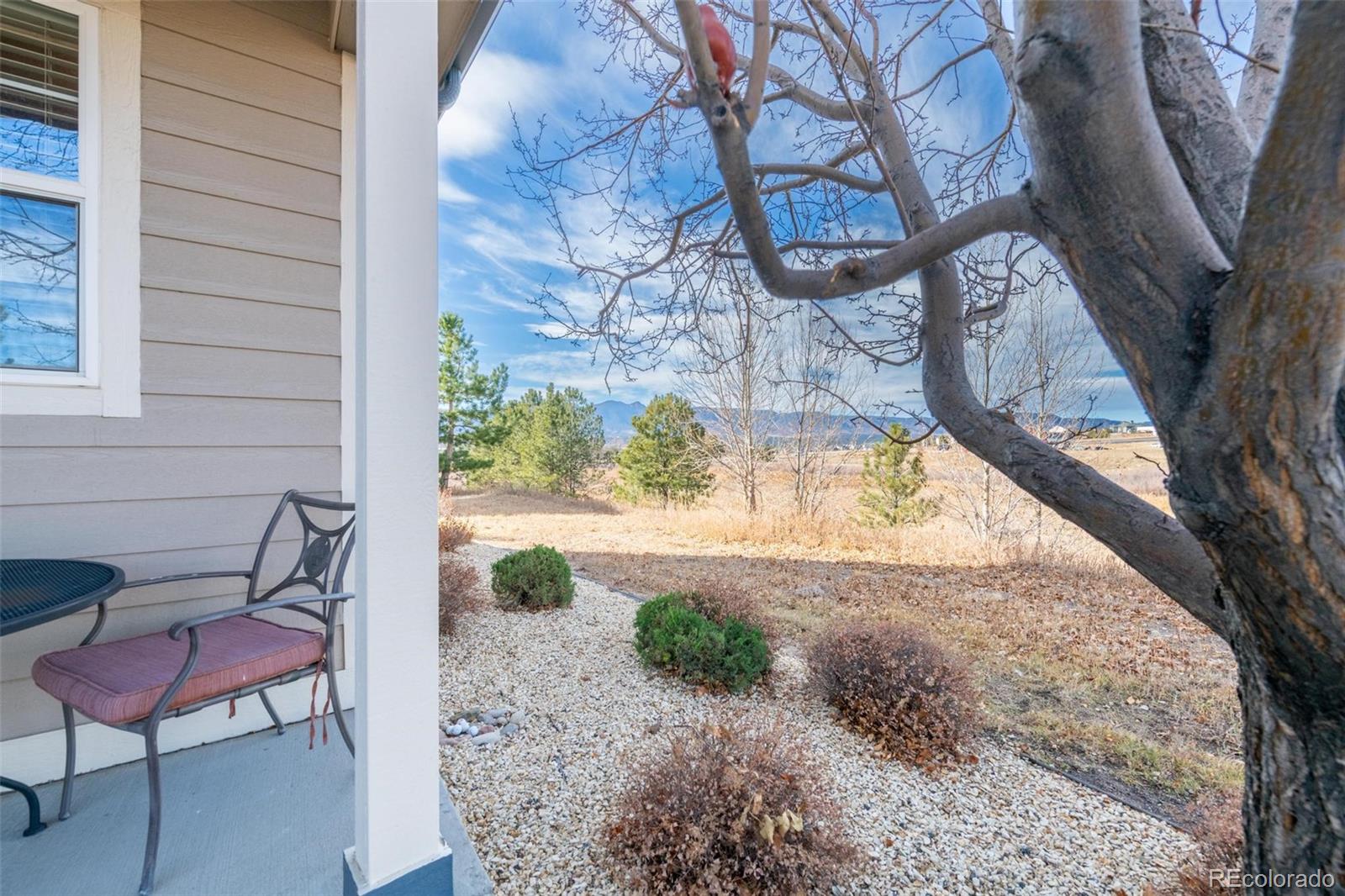 MLS Image #2 for 1890  wildwood pass drive,colorado springs, Colorado