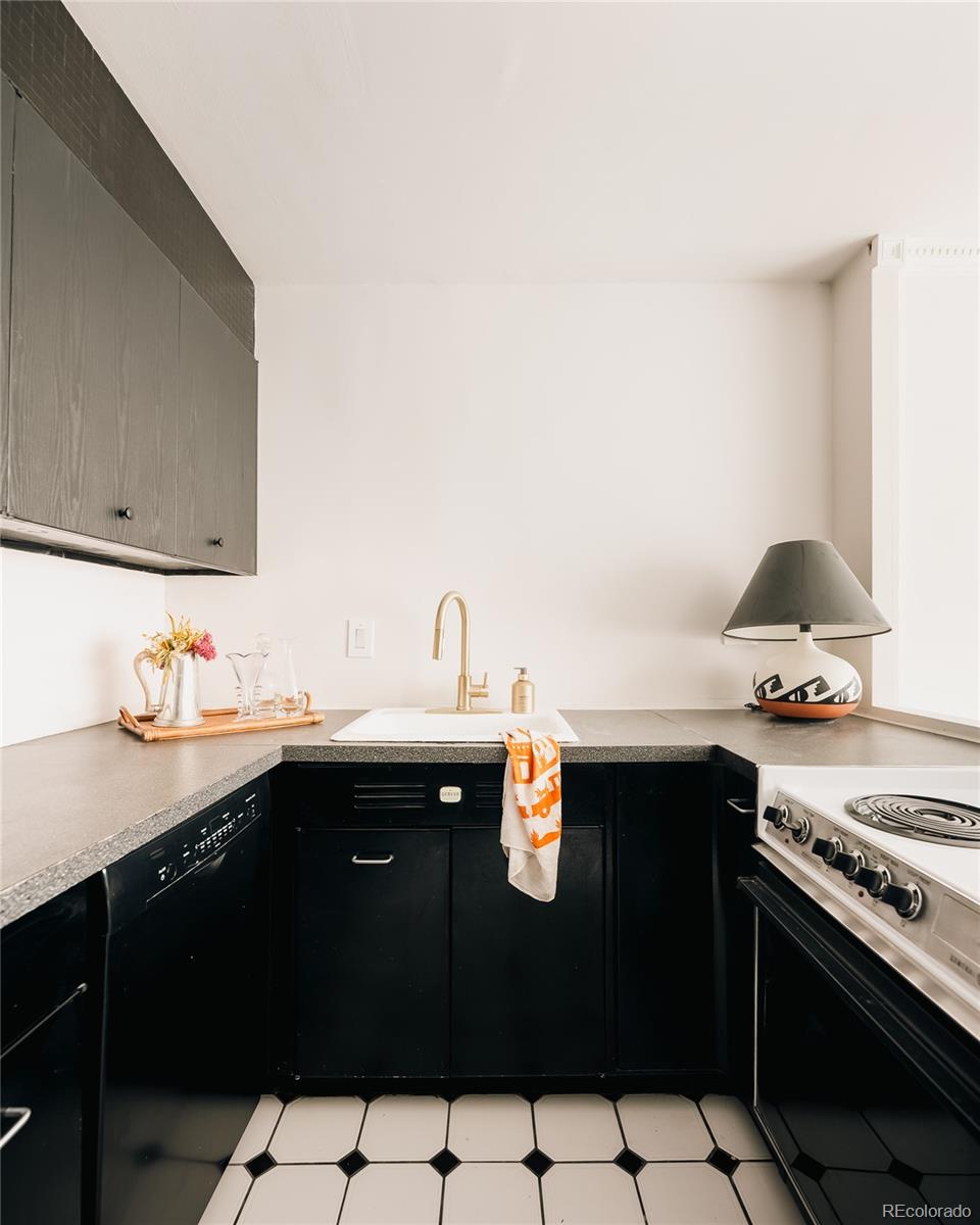 MLS Image #12 for 888 n logan street 2g,denver, Colorado
