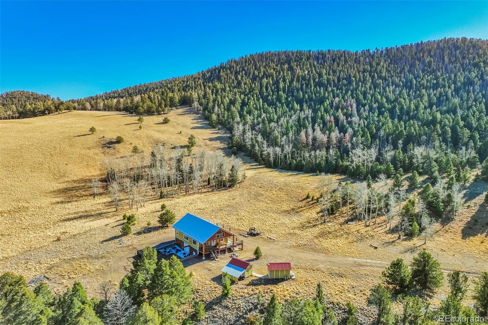 MLS Image #3 for 1440 n range road,guffey, Colorado