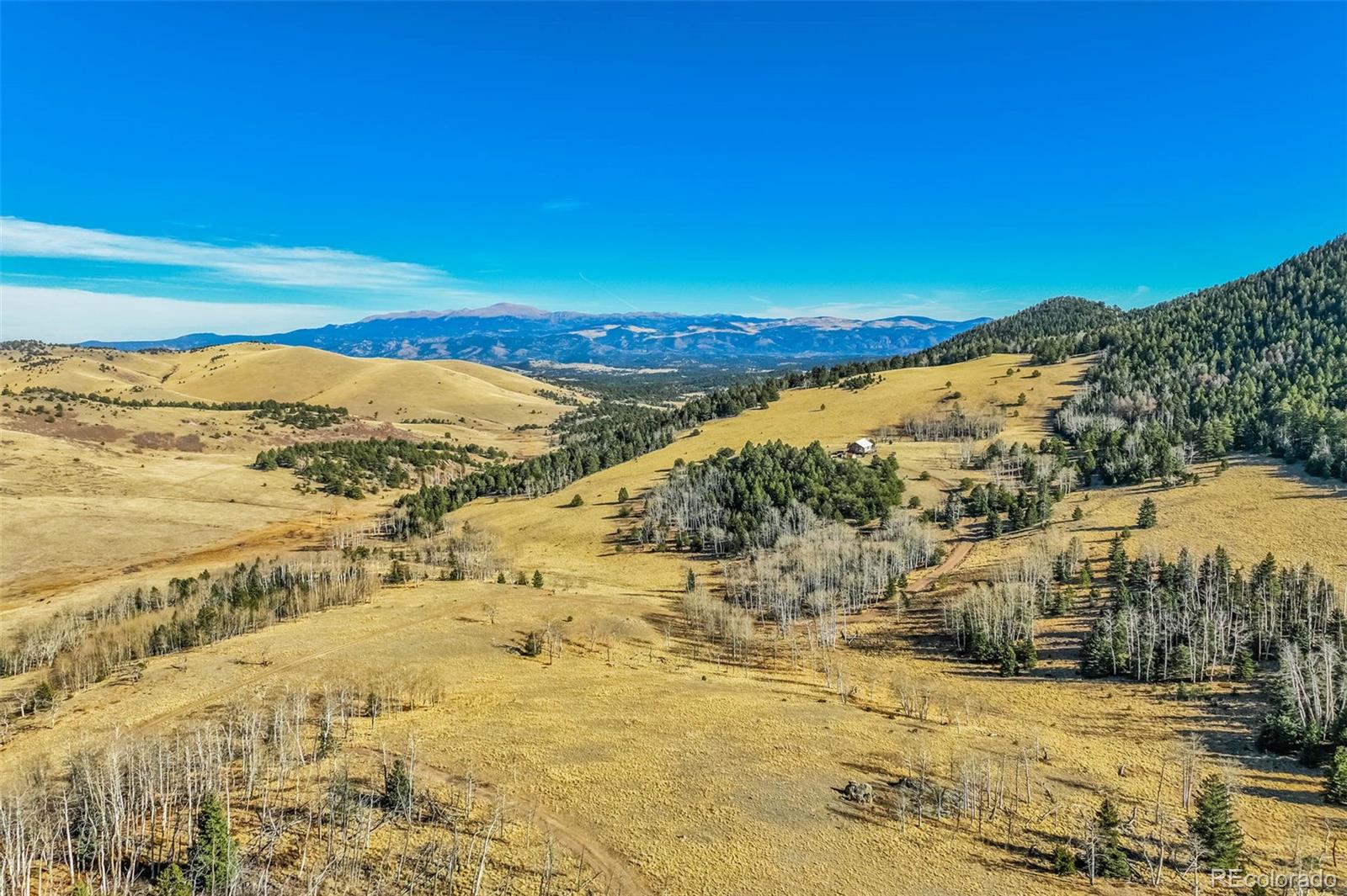MLS Image #49 for 1440 n range road,guffey, Colorado