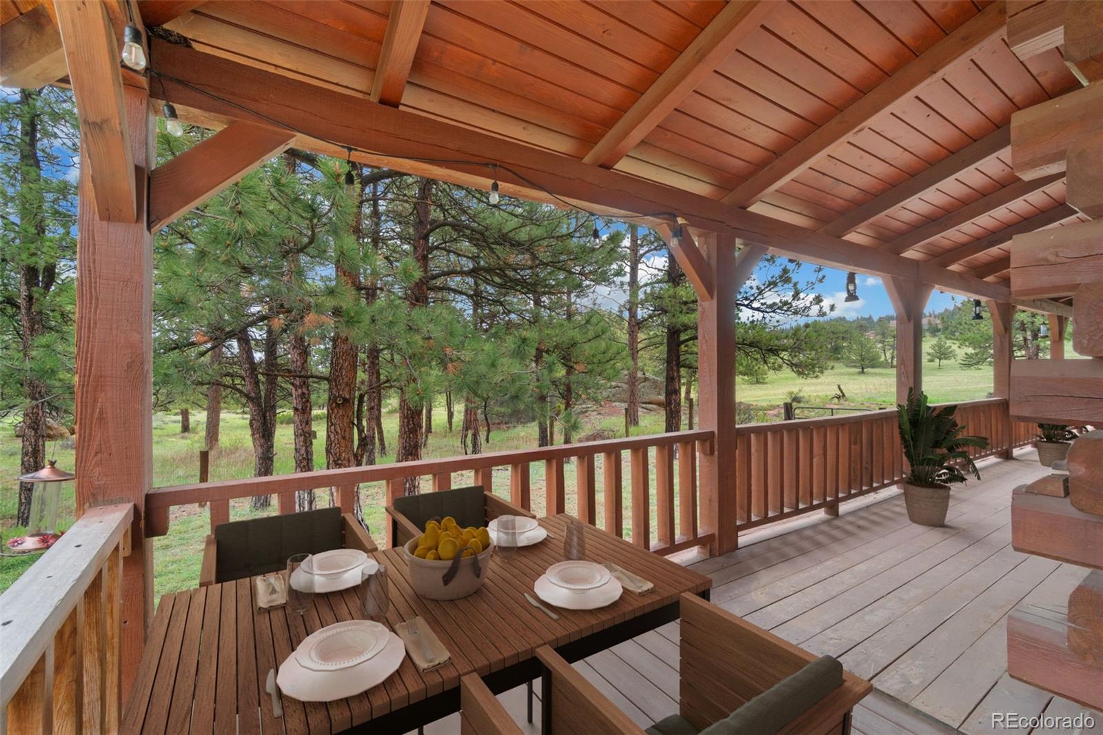 MLS Image #31 for 1084  iron mountain drive,livermore, Colorado