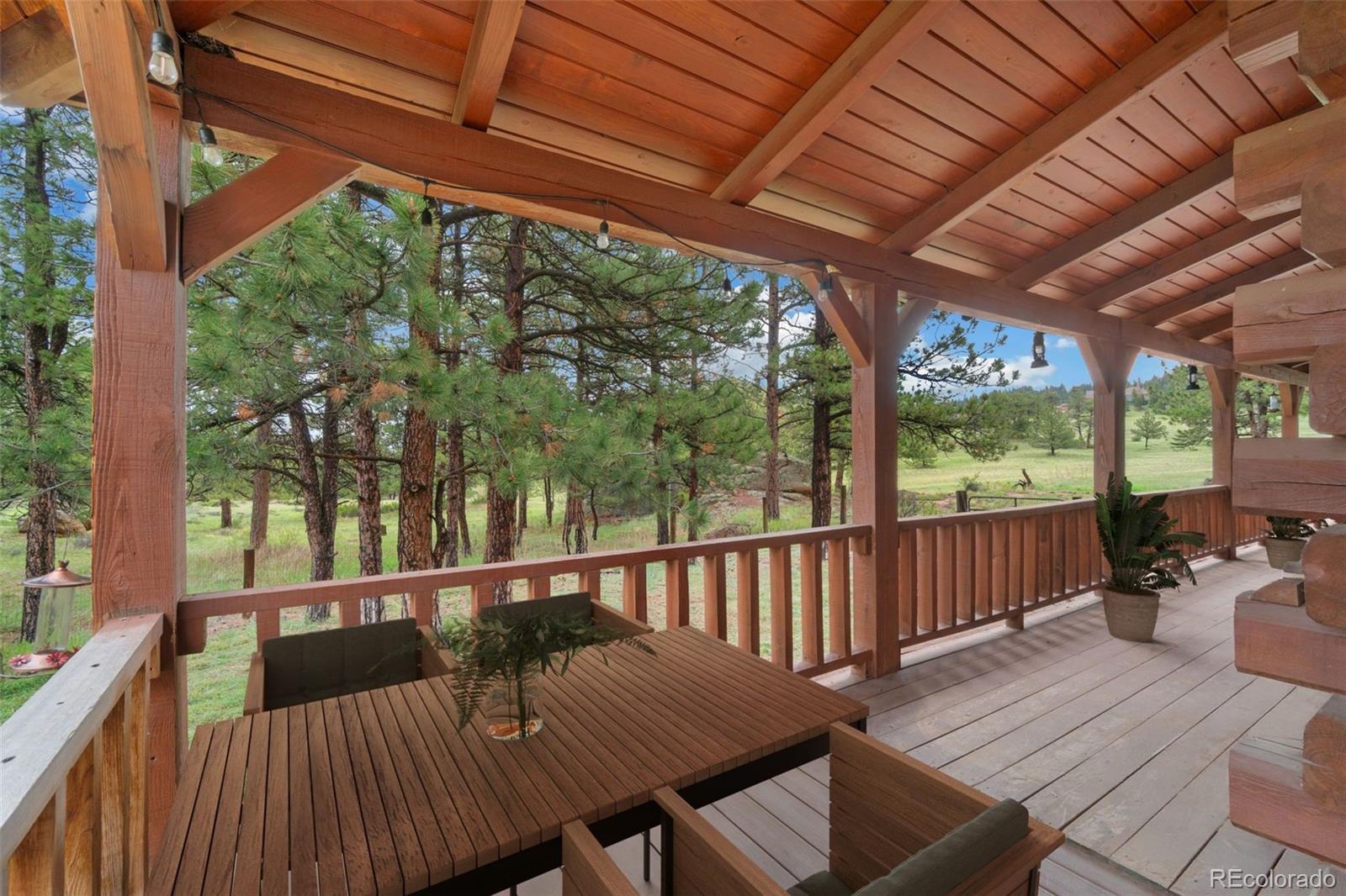 MLS Image #32 for 1084  iron mountain drive,livermore, Colorado