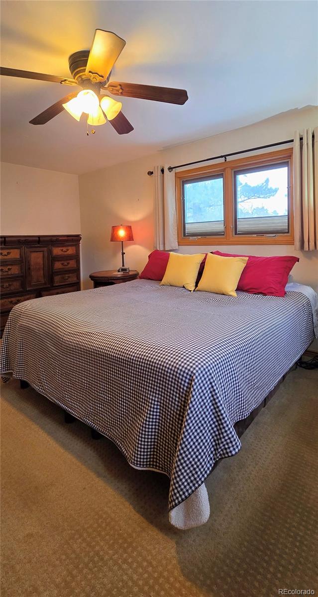 MLS Image #21 for 8057  bannock drive,larkspur, Colorado