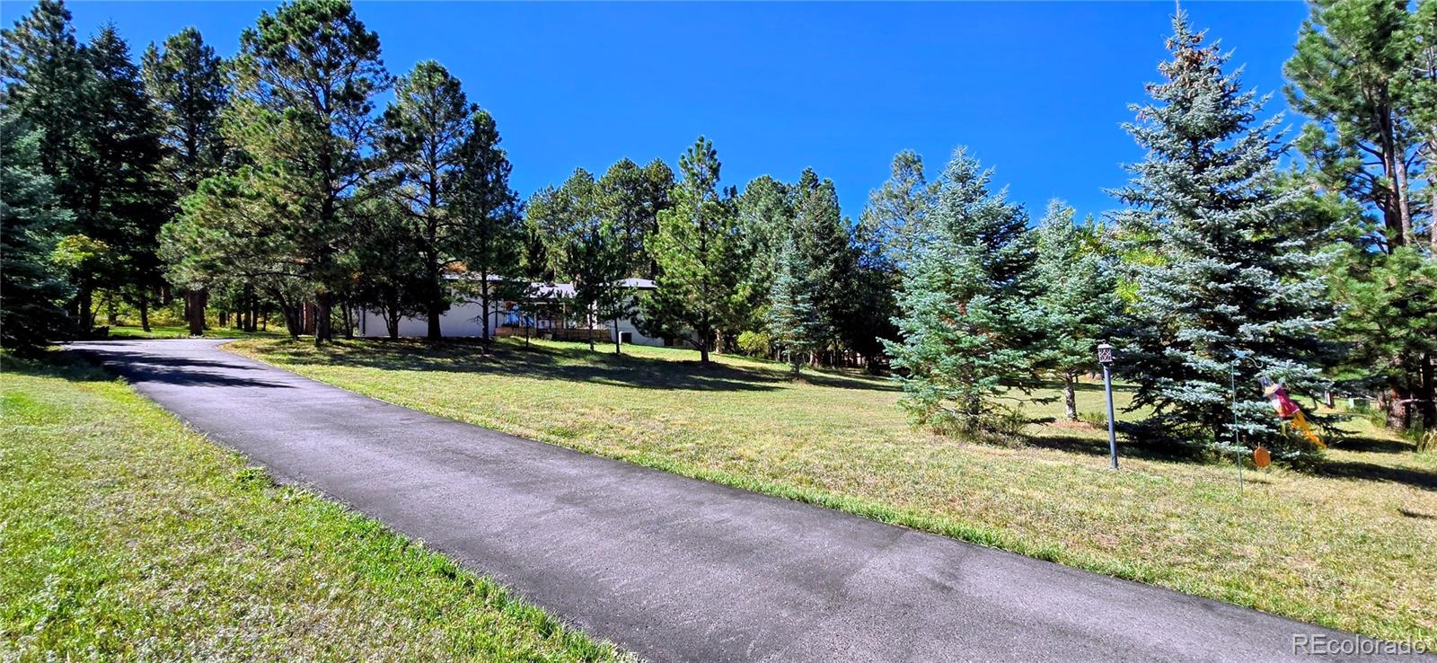 MLS Image #6 for 8057  bannock drive,larkspur, Colorado