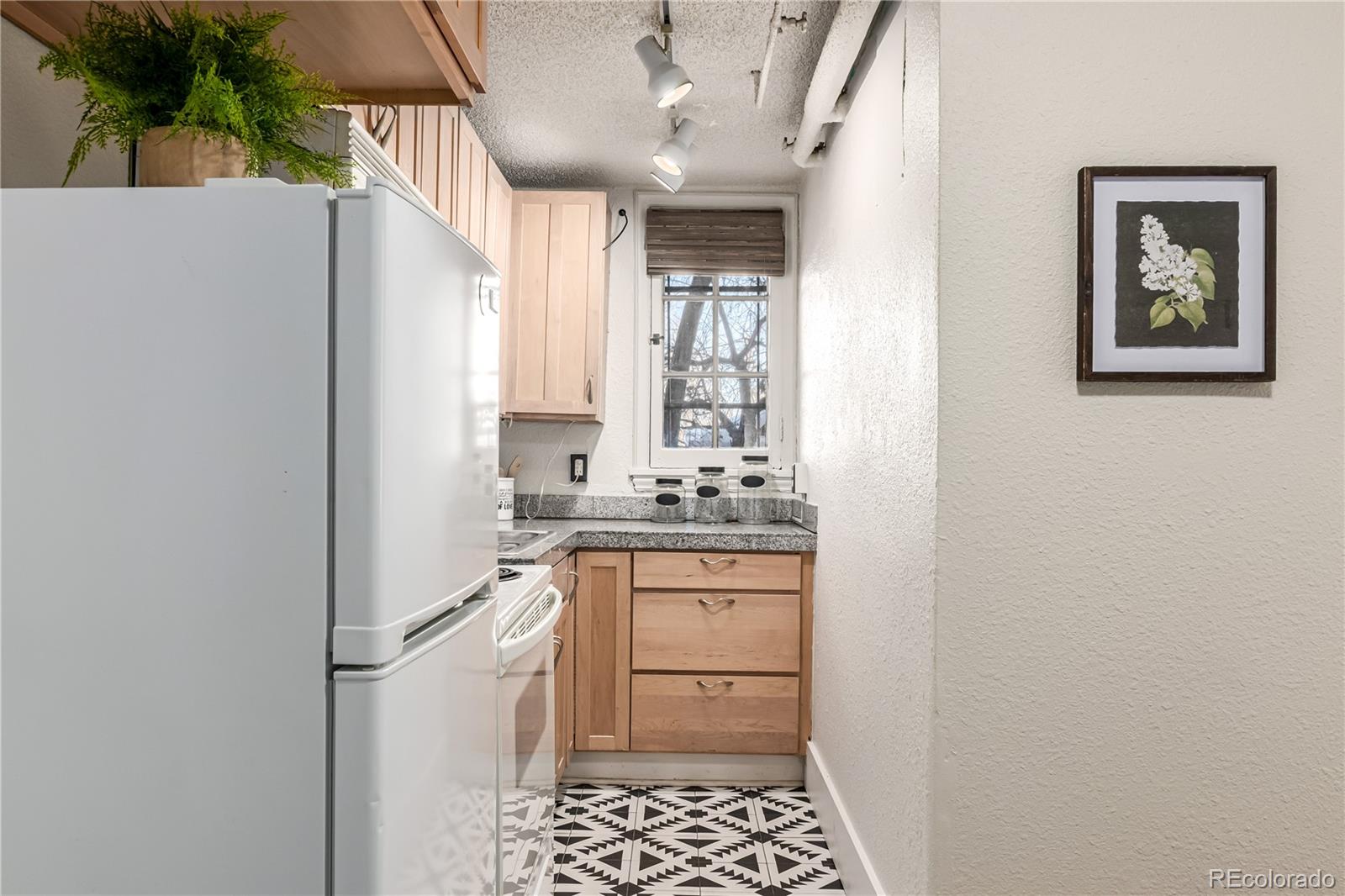 MLS Image #9 for 1024 e 14th avenue 11,denver, Colorado