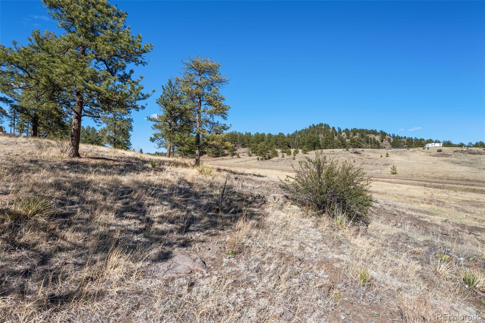 MLS Image #24 for 11  valley circle,guffey, Colorado