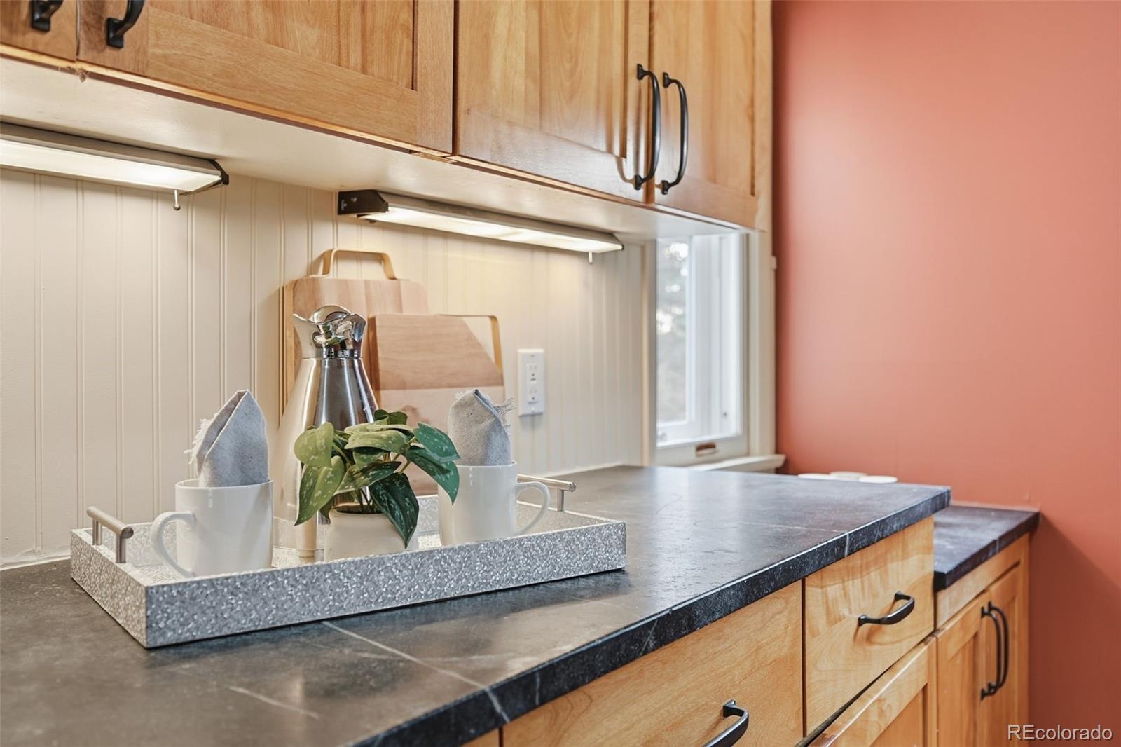 MLS Image #9 for 2002 w ridge road,littleton, Colorado