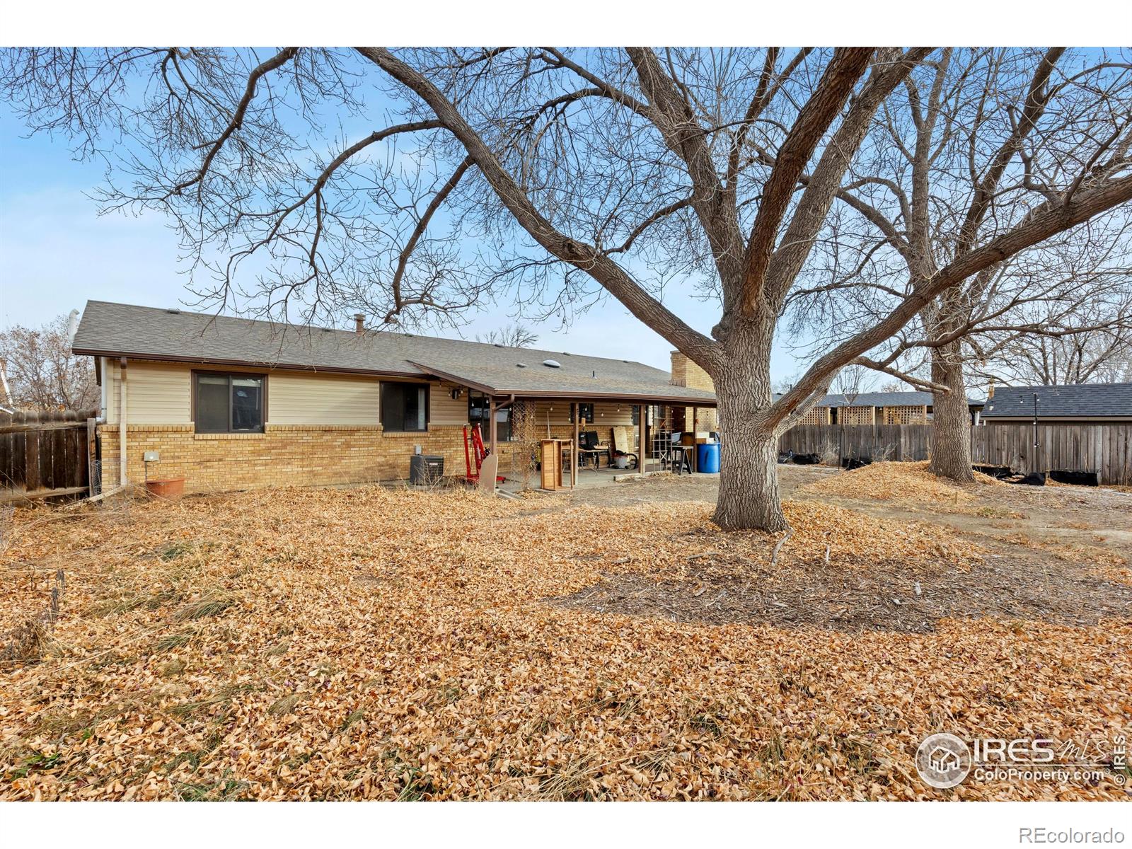 MLS Image #23 for 1551  vivian street,longmont, Colorado