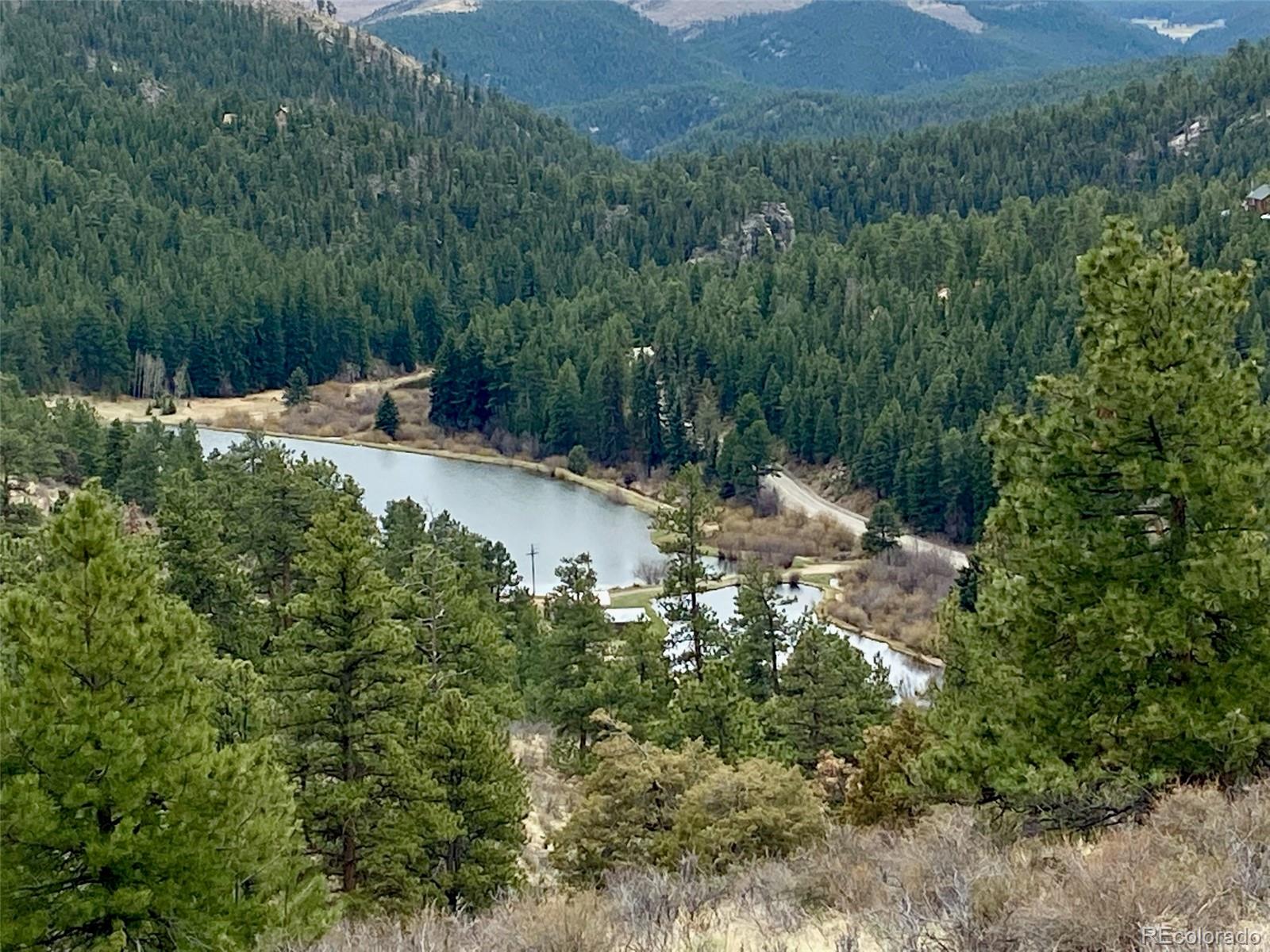MLS Image #19 for 174  chickadee drive,bailey, Colorado