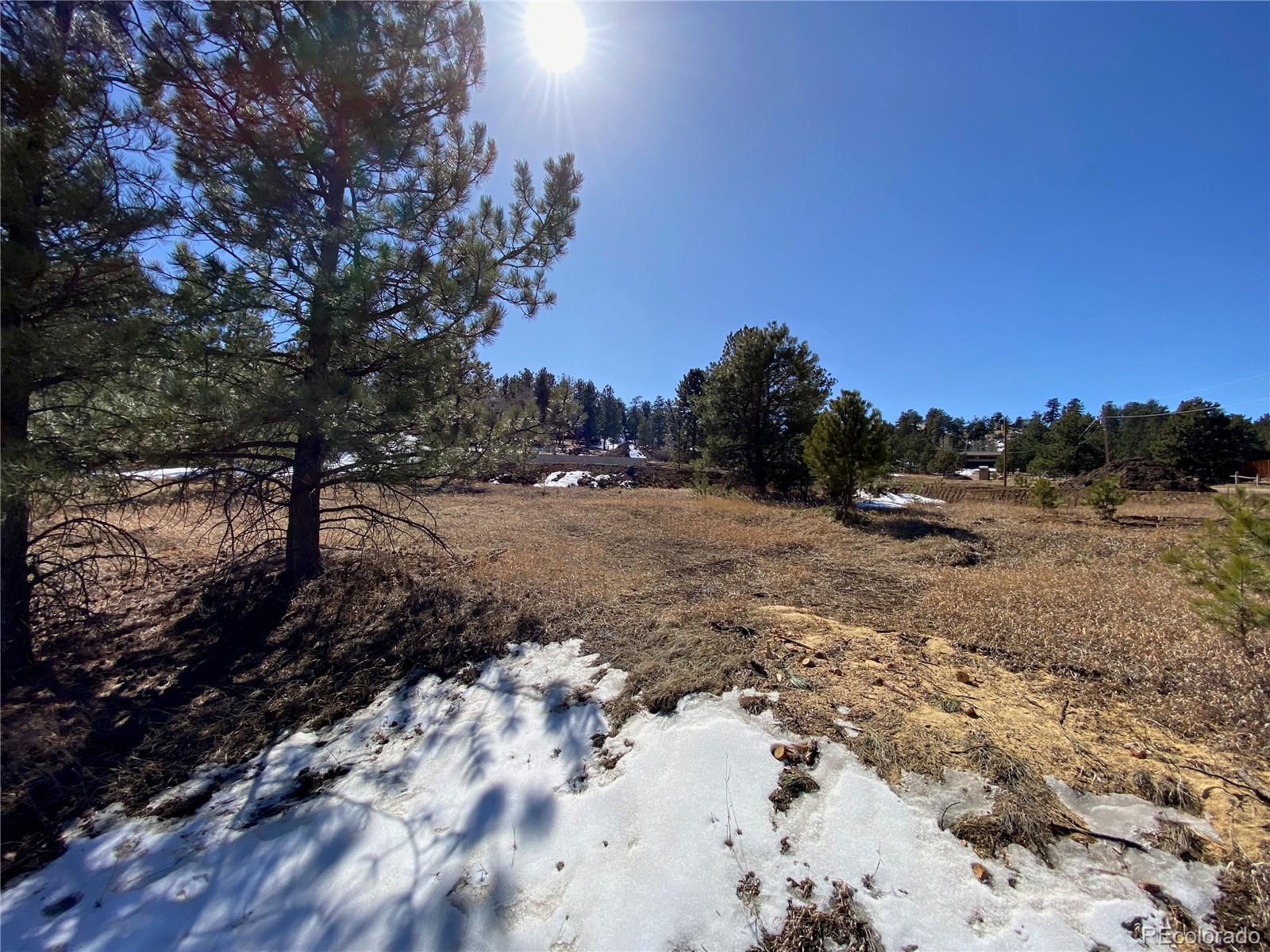 MLS Image #35 for 174  chickadee drive,bailey, Colorado
