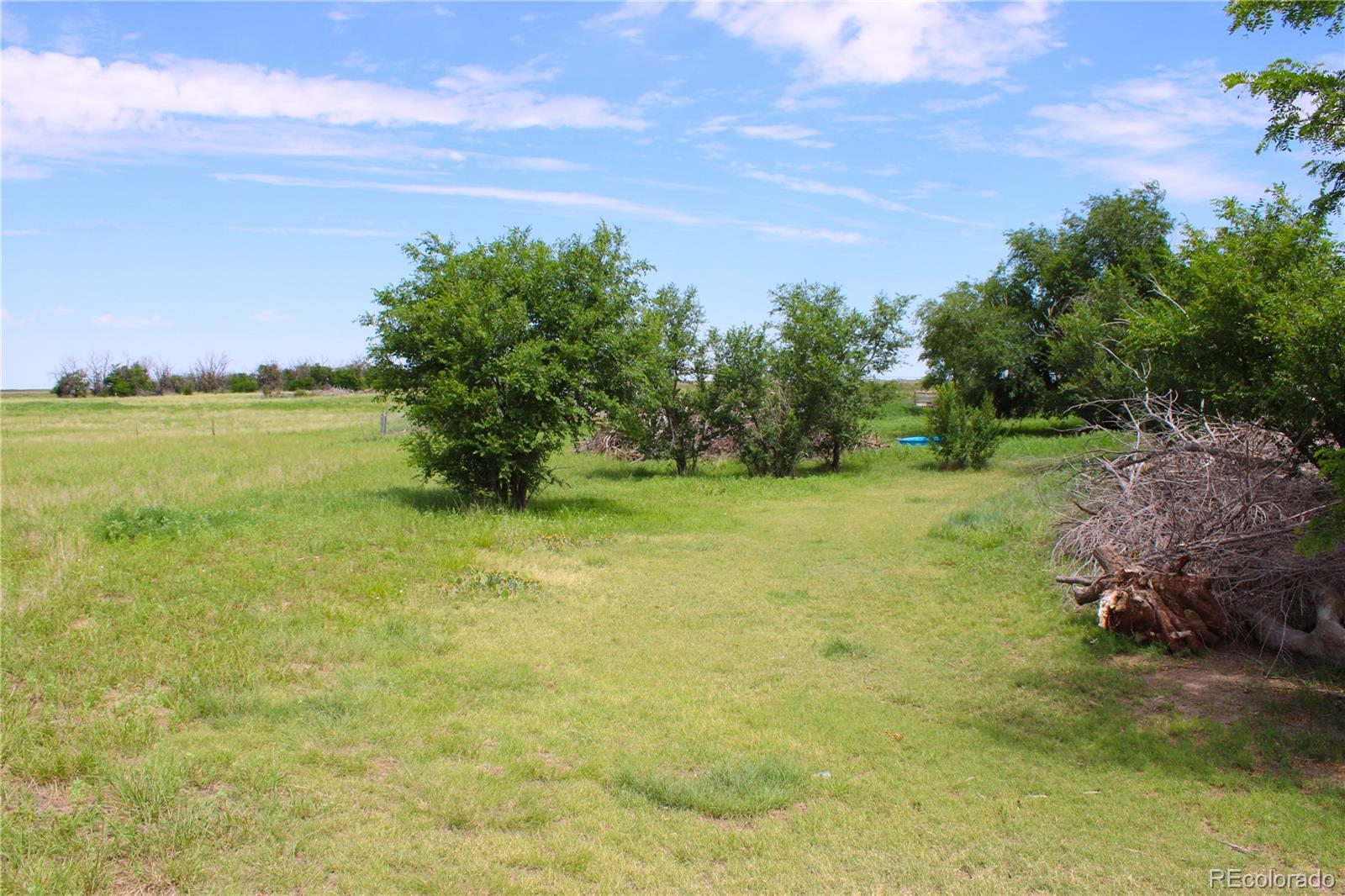 MLS Image #11 for 1901  county road h ,joes, Colorado