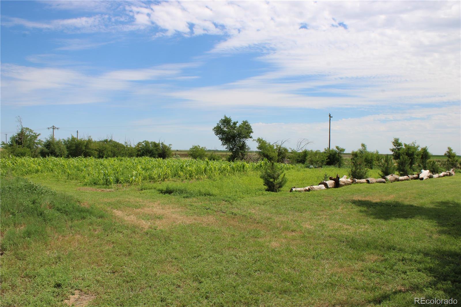 MLS Image #14 for 1901  county road h ,joes, Colorado