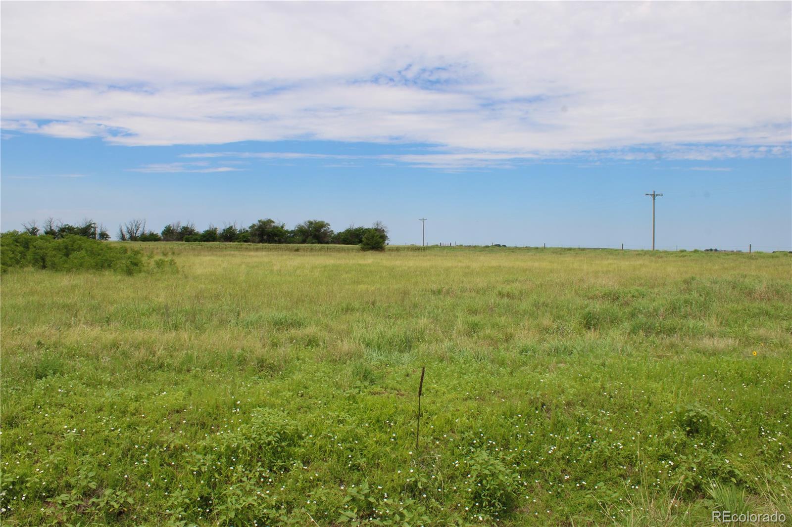 MLS Image #17 for 1901  county road h ,joes, Colorado