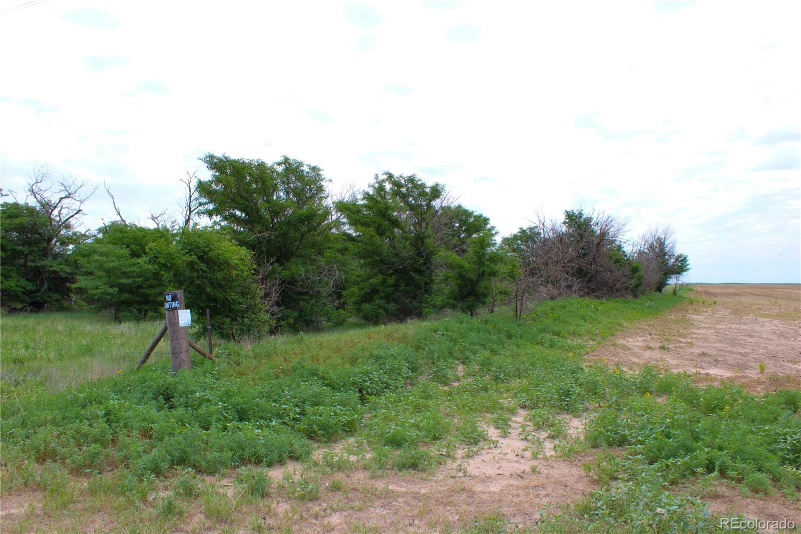 MLS Image #23 for 1901  county road h ,joes, Colorado