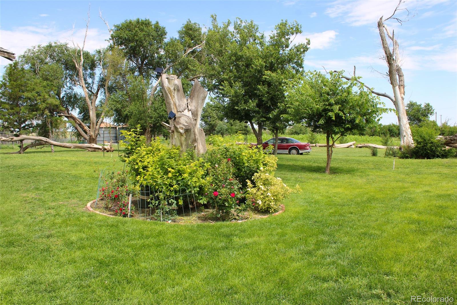 MLS Image #3 for 1901  county road h ,joes, Colorado