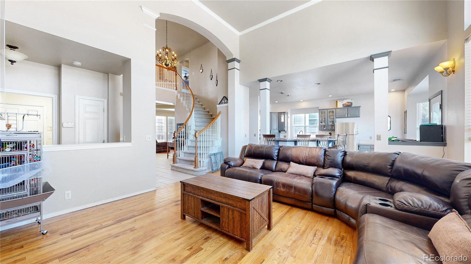 MLS Image #13 for 1192  purple sage loop,castle rock, Colorado