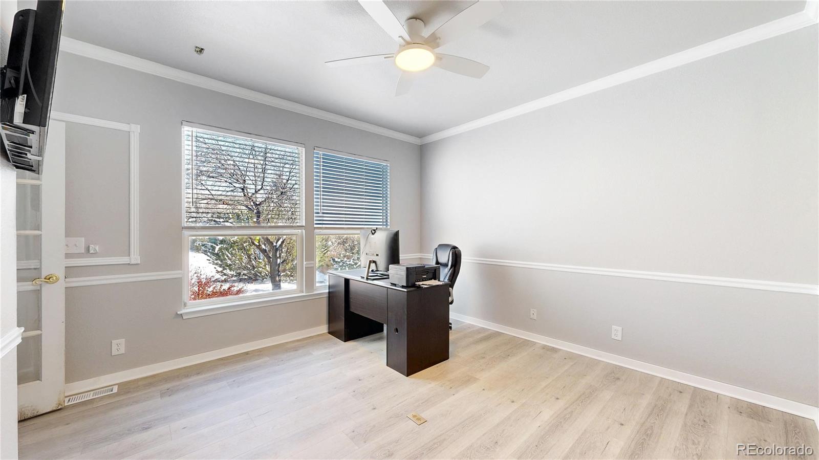 MLS Image #16 for 1192  purple sage loop,castle rock, Colorado