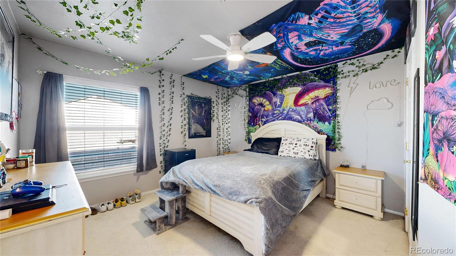 MLS Image #18 for 1192  purple sage loop,castle rock, Colorado