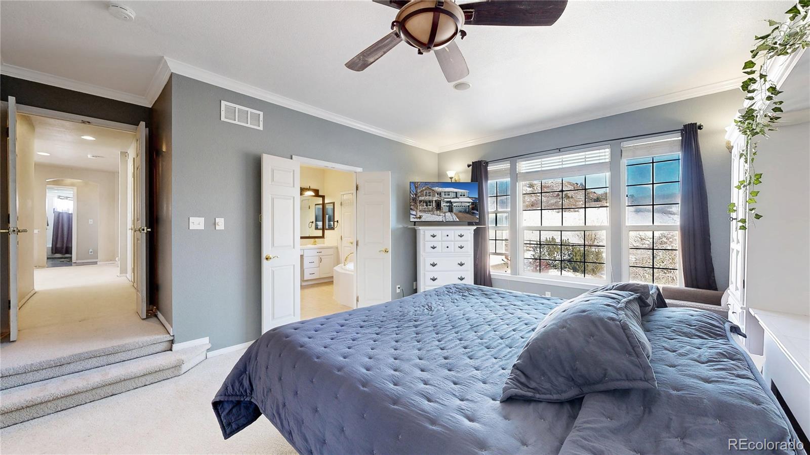 MLS Image #24 for 1192  purple sage loop,castle rock, Colorado