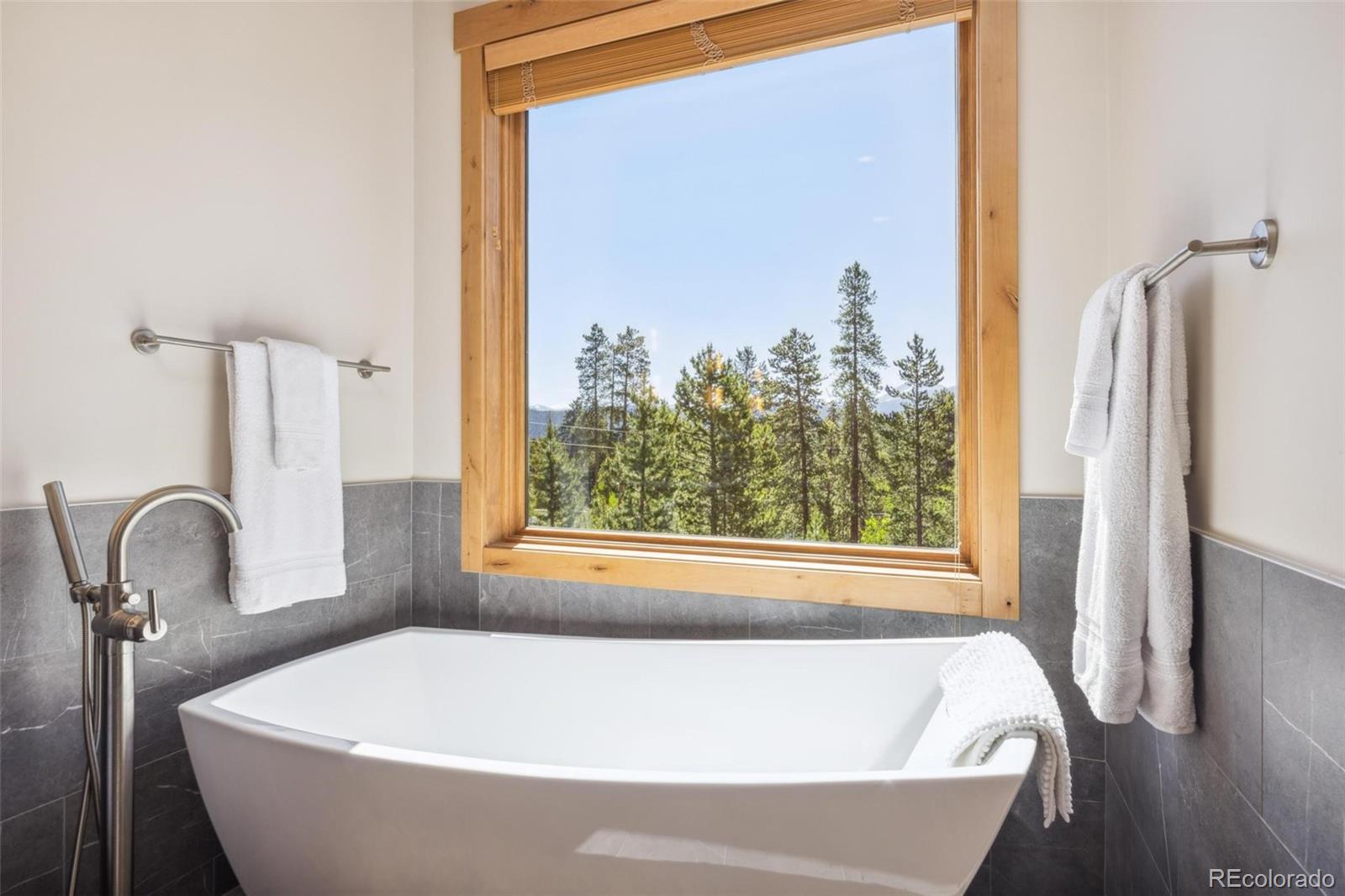 MLS Image #22 for 41  barton ridge drive,breckenridge, Colorado