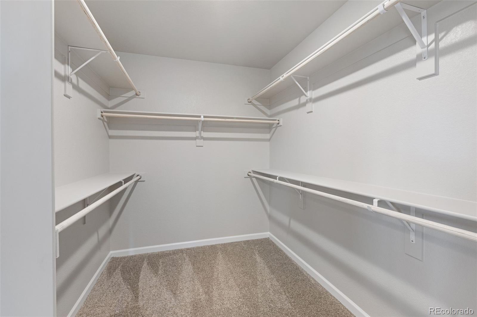 MLS Image #17 for 16953  ballinger circle,mead, Colorado