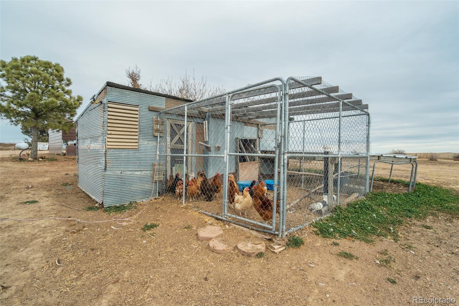 MLS Image #4 for 53647  county road 36.4 ,genoa, Colorado