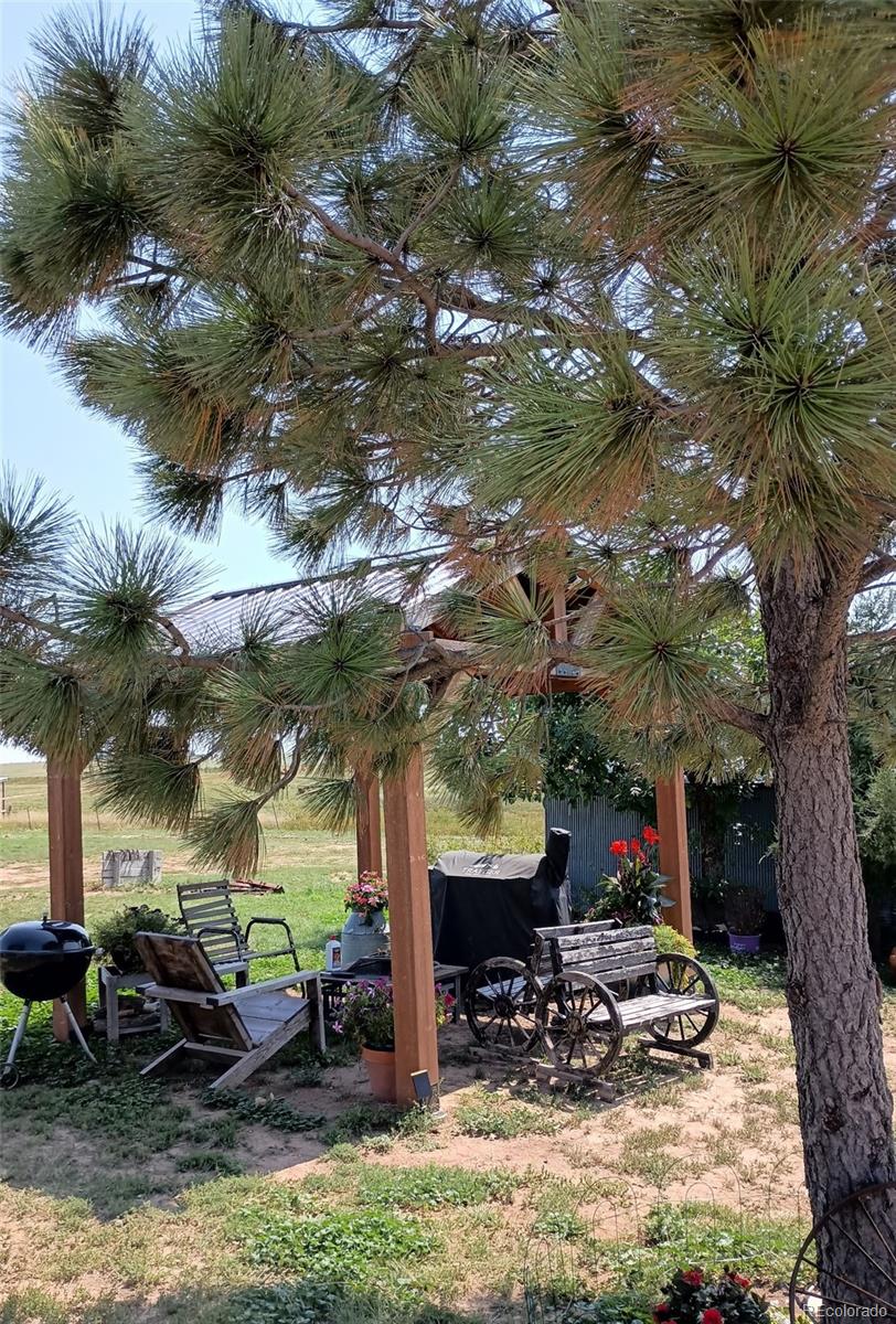 MLS Image #46 for 53647  county road 36.4 ,genoa, Colorado