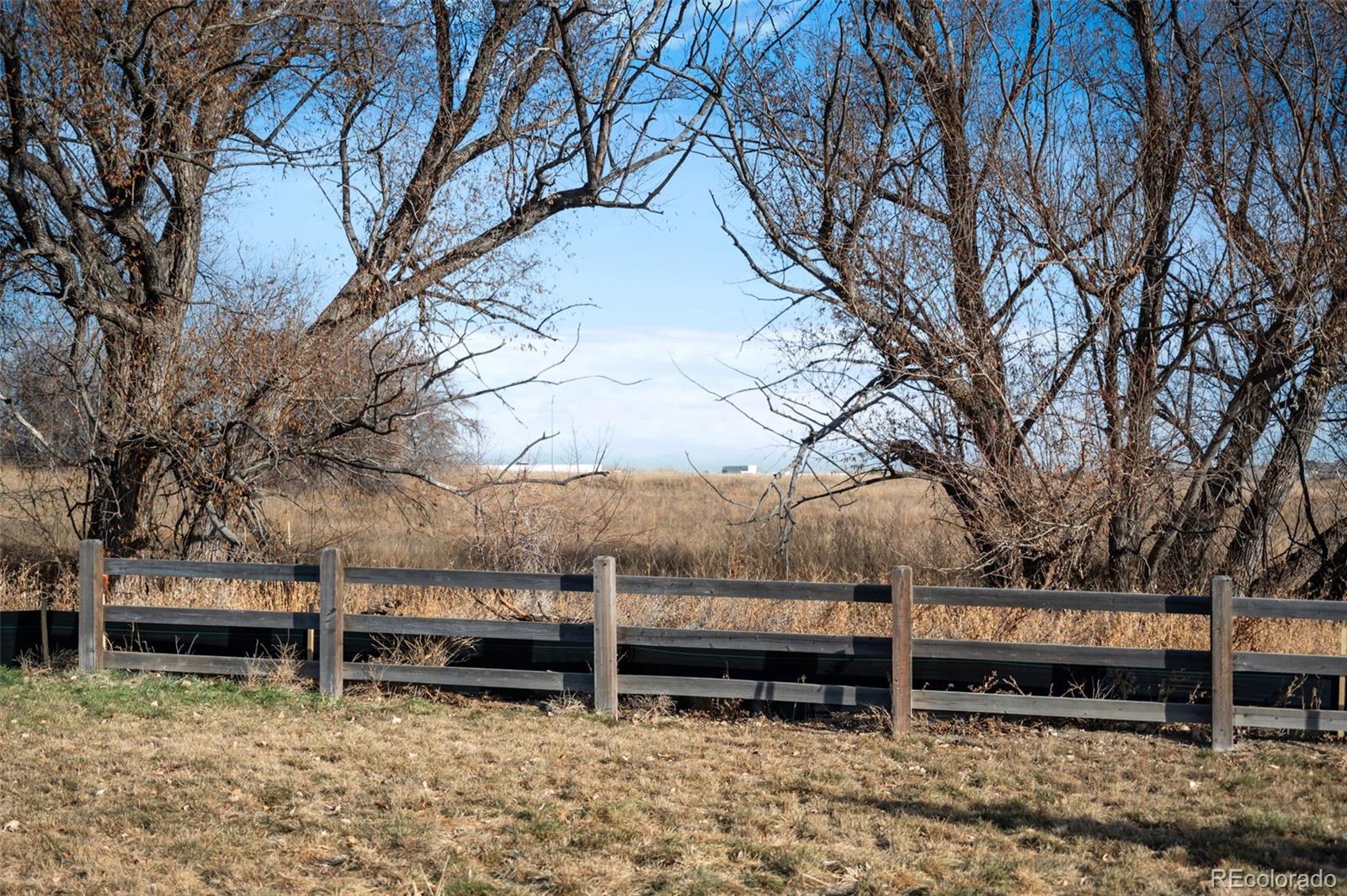 MLS Image #15 for 12380  irma drive,thornton, Colorado