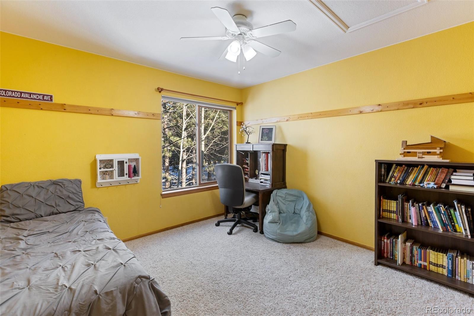 MLS Image #19 for 747  pinon ridge drive,woodland park, Colorado