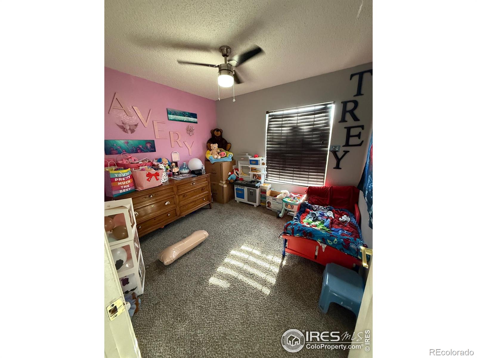 MLS Image #20 for 5141  jasper street,denver, Colorado