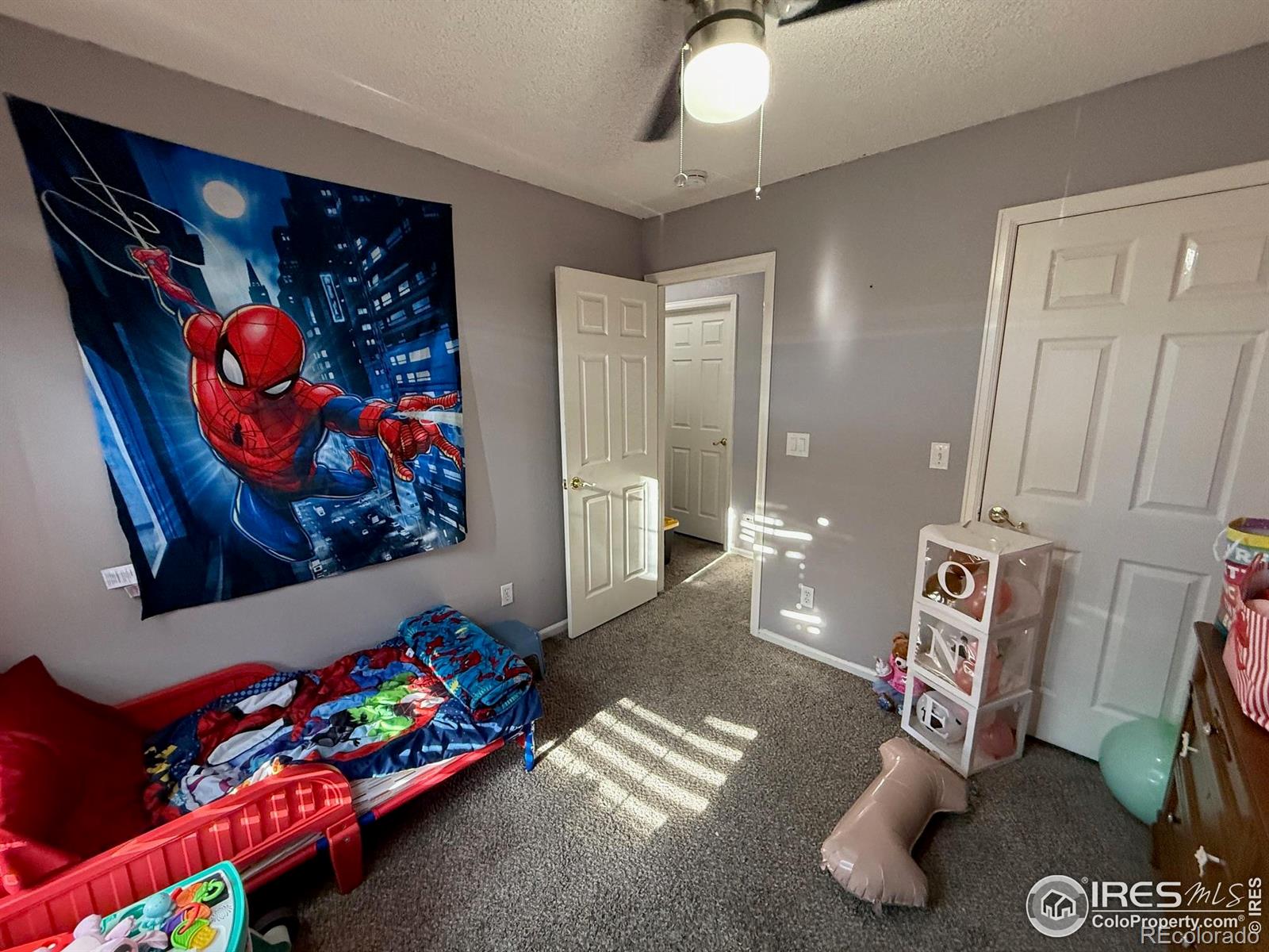 MLS Image #21 for 5141  jasper street,denver, Colorado
