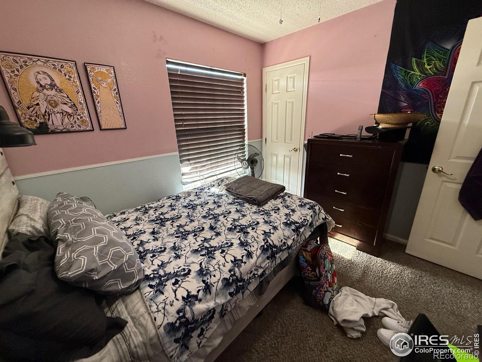 MLS Image #22 for 5141  jasper street,denver, Colorado