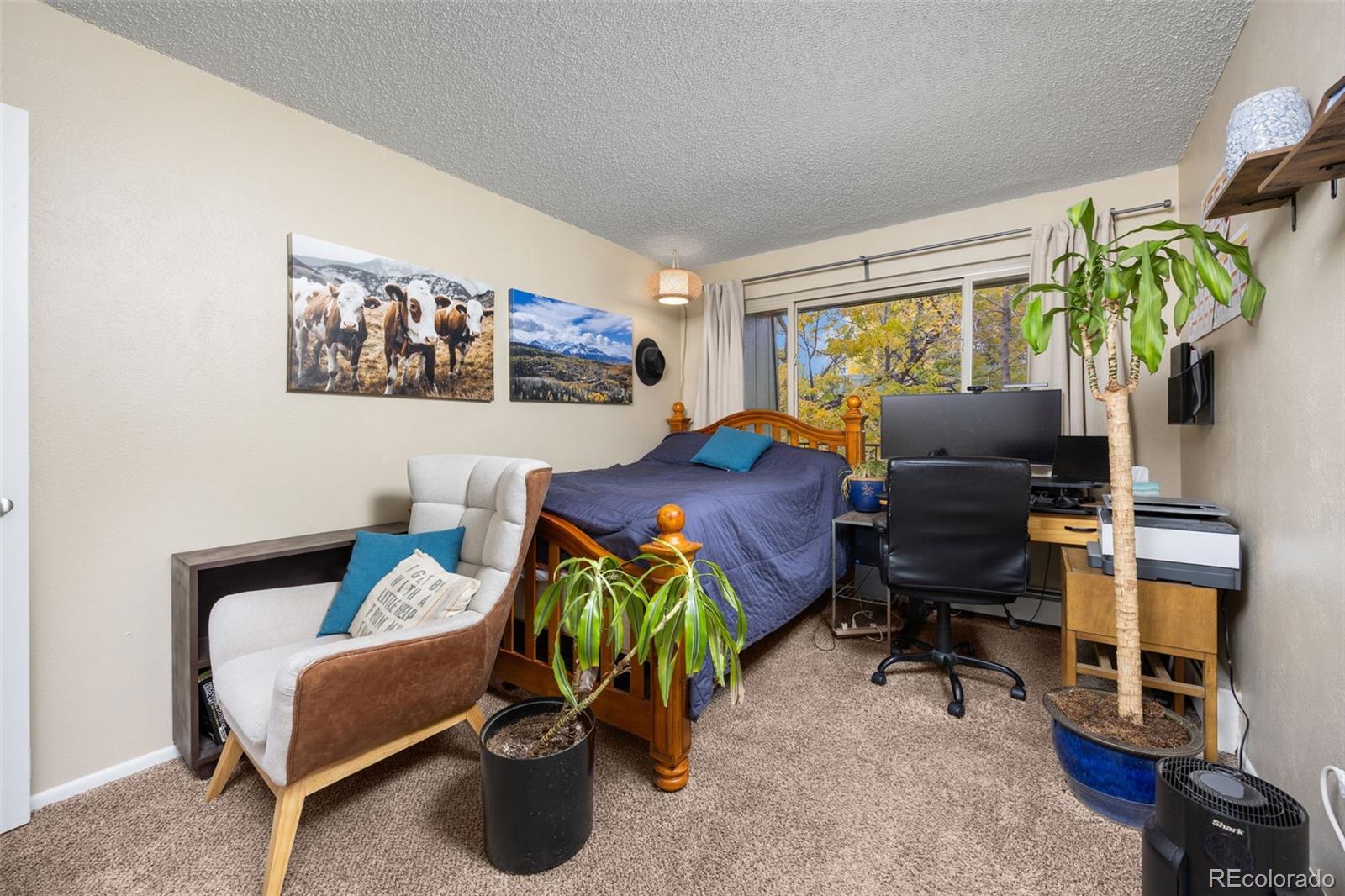 MLS Image #14 for 3771  quail street,wheat ridge, Colorado