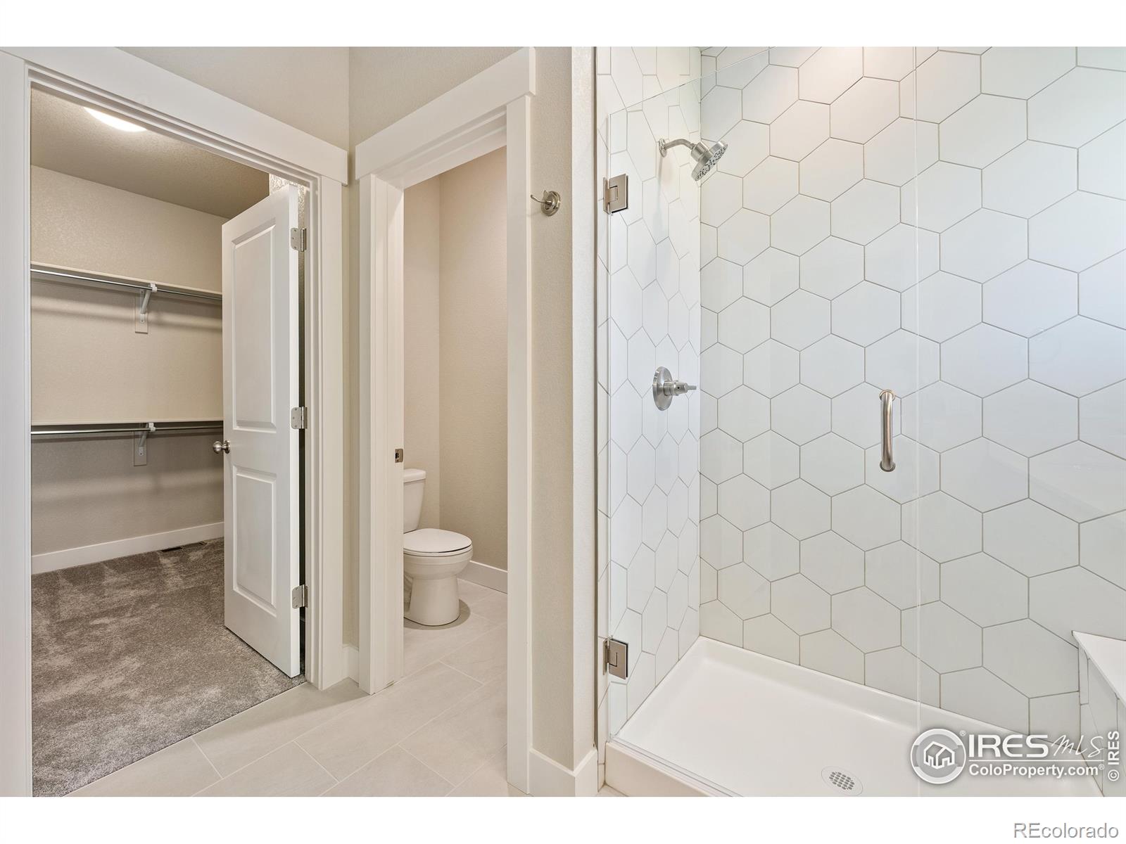 MLS Image #18 for 6228  vernazza way,windsor, Colorado