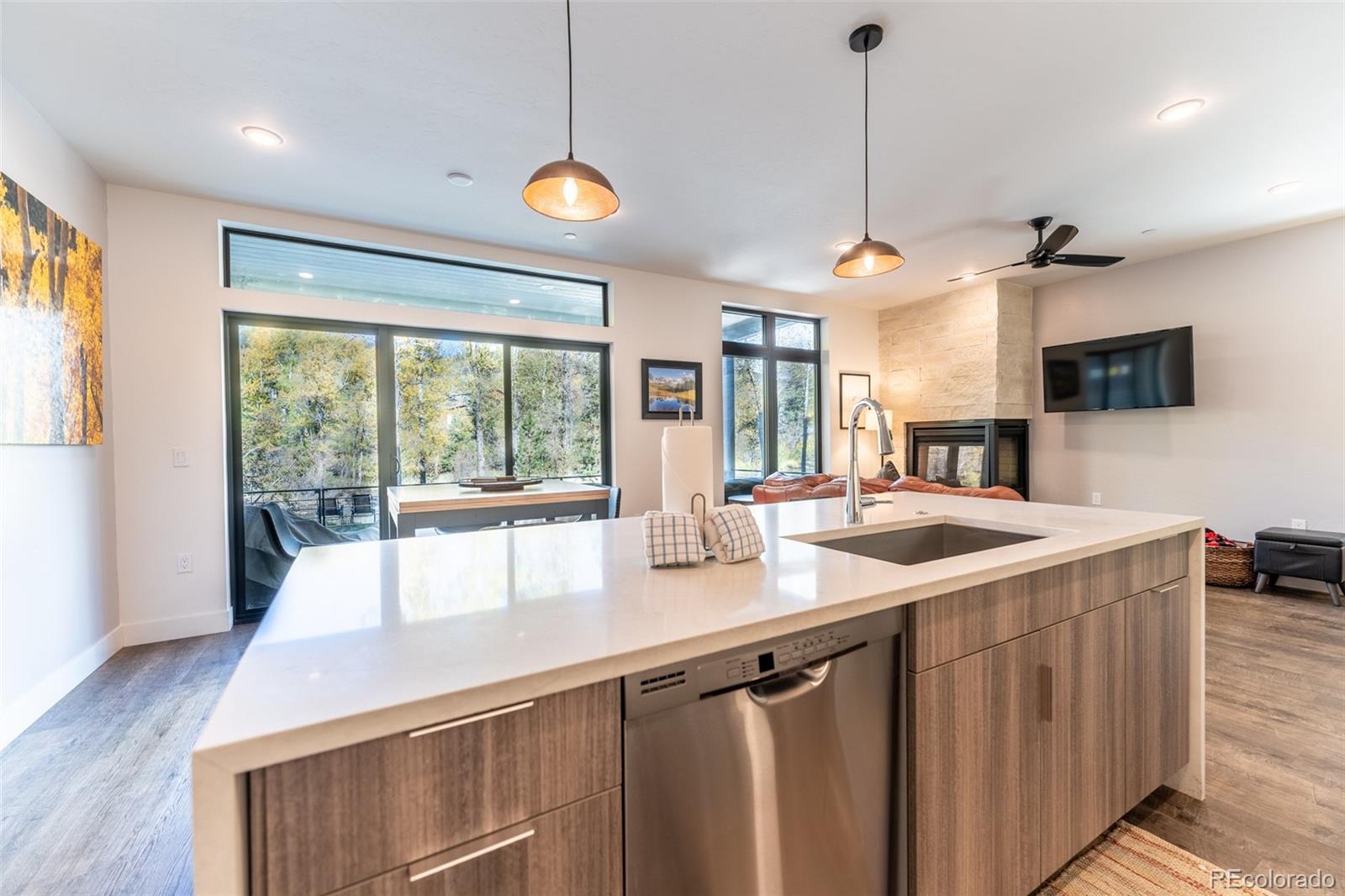 MLS Image #10 for 930  blue river parkway,silverthorne, Colorado