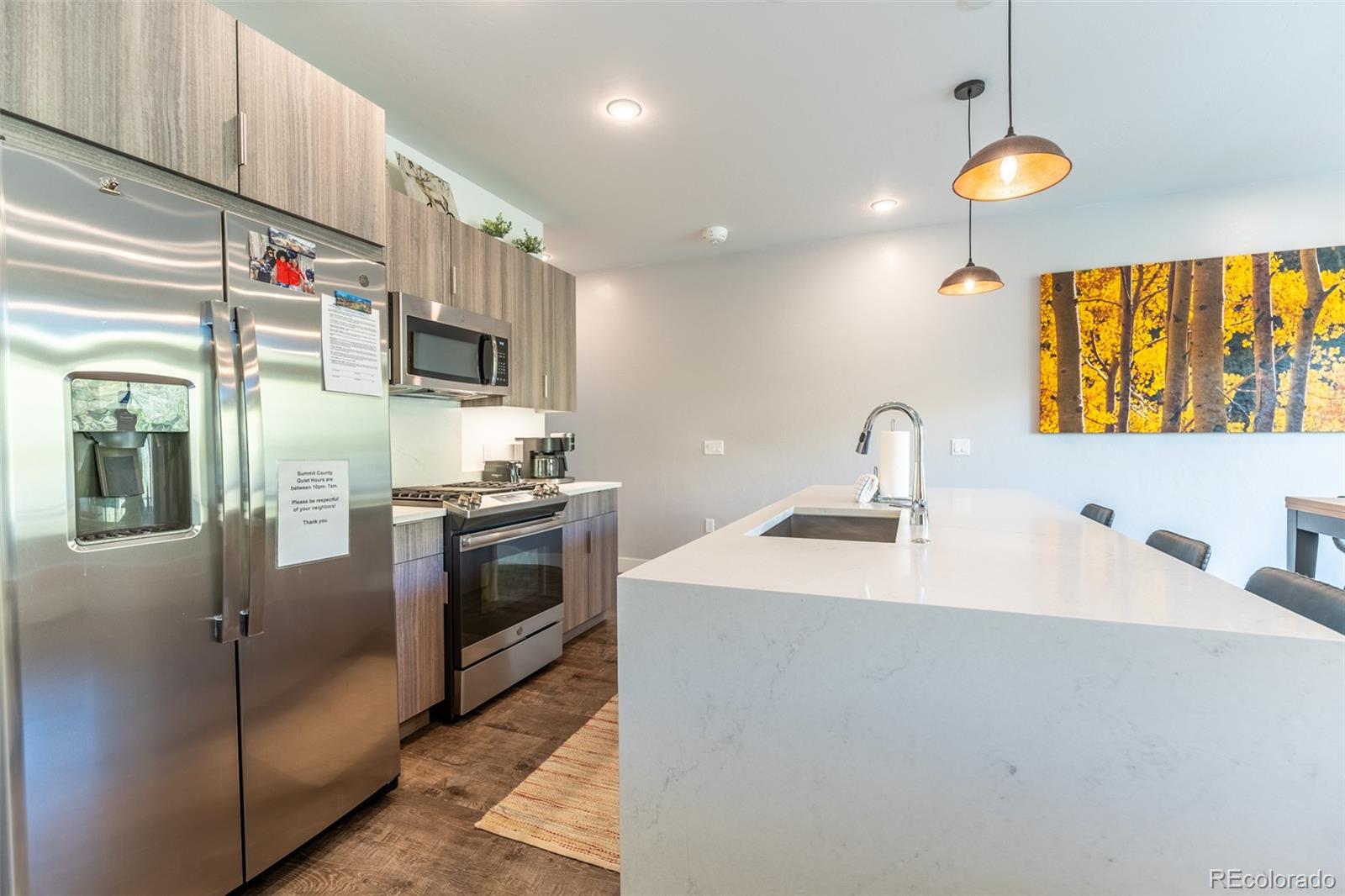 MLS Image #11 for 930  blue river parkway,silverthorne, Colorado