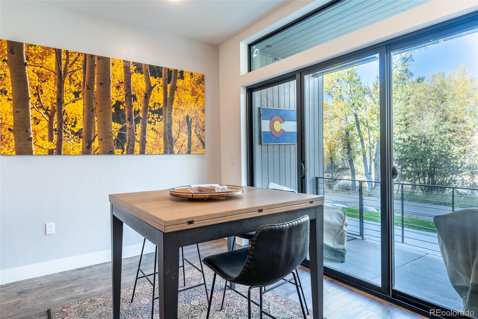 MLS Image #17 for 930  blue river parkway,silverthorne, Colorado