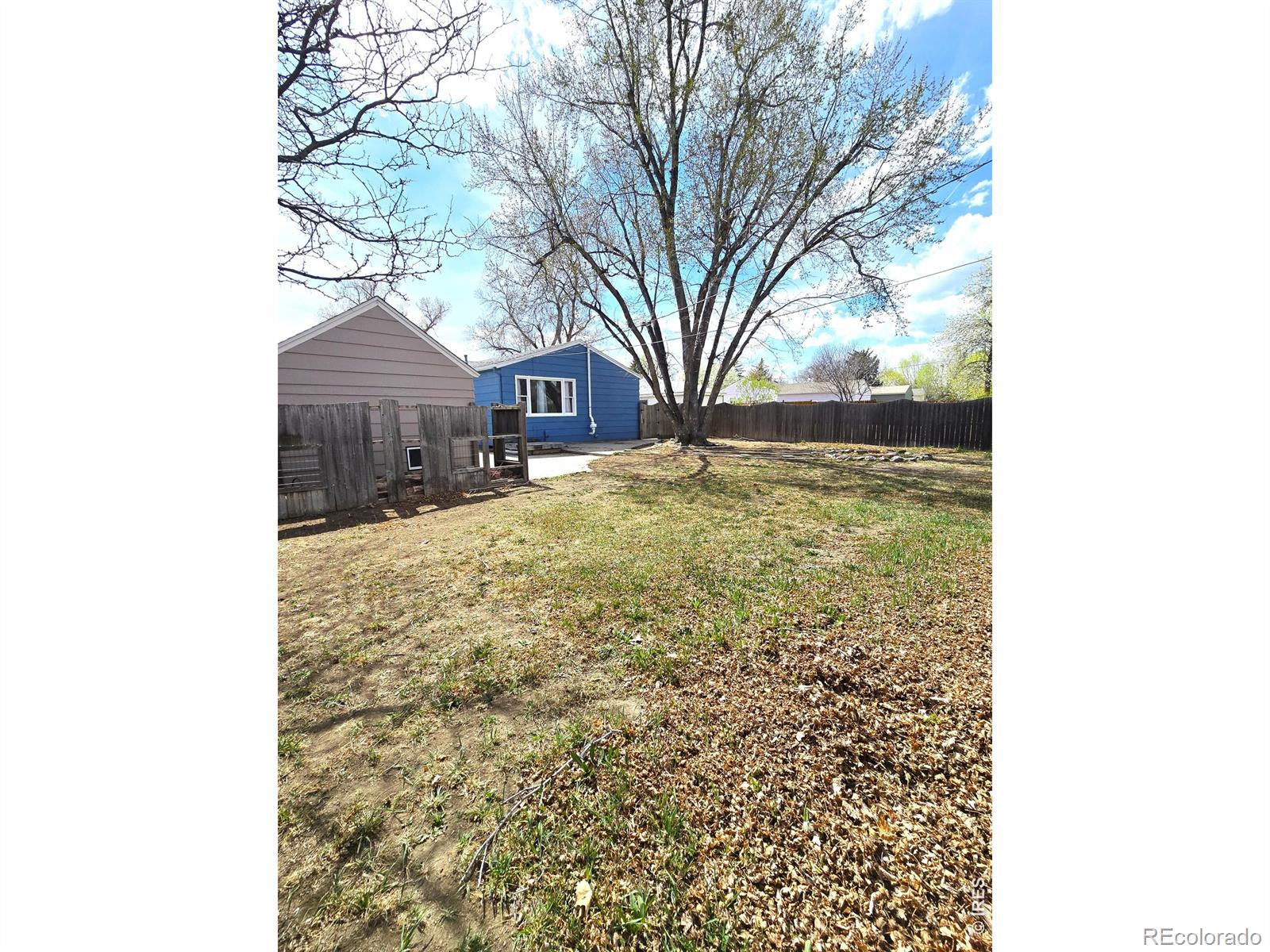 MLS Image #22 for 2431  mountain view drive,loveland, Colorado